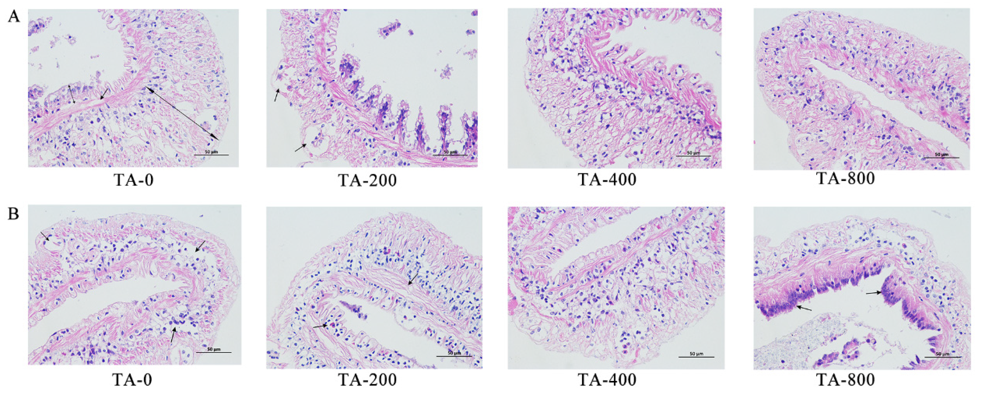 Fishes 07 00327 g003 Fishes 07 00327 g003