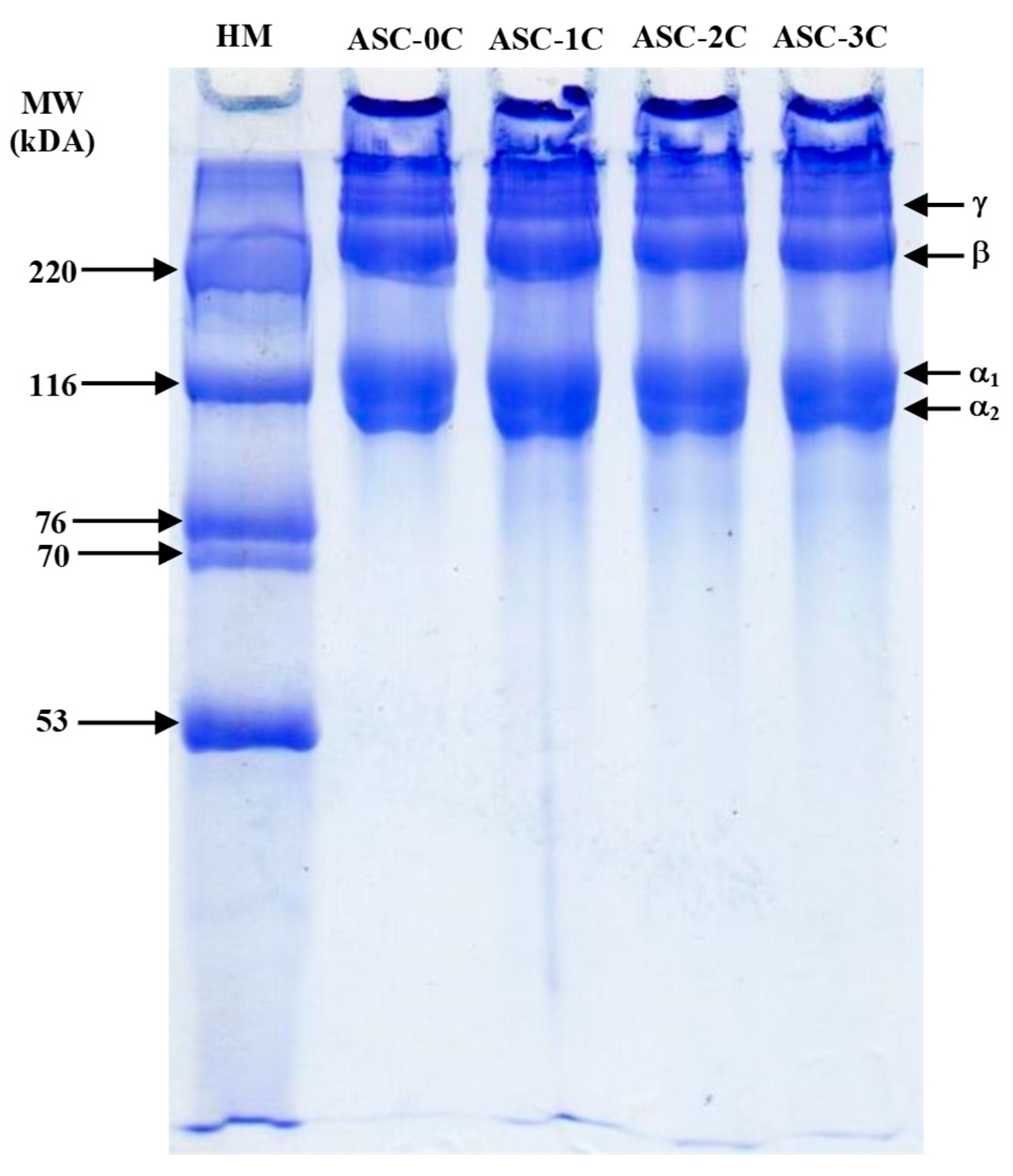 Fishes 07 00330 g003 Fishes 07 00330 g003