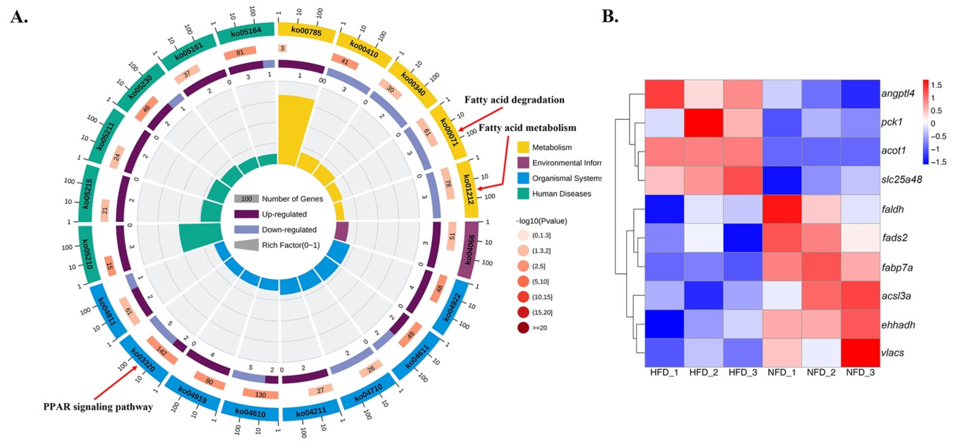 Fishes 07 00332 g005 Fishes 07 00332 g005