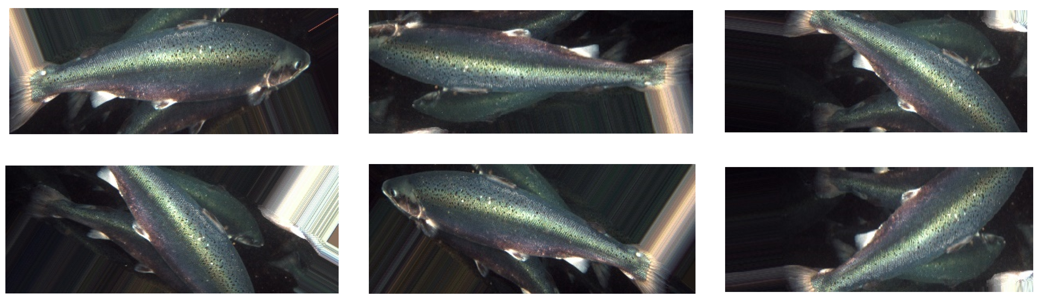 Fishes 07 00345 g002a