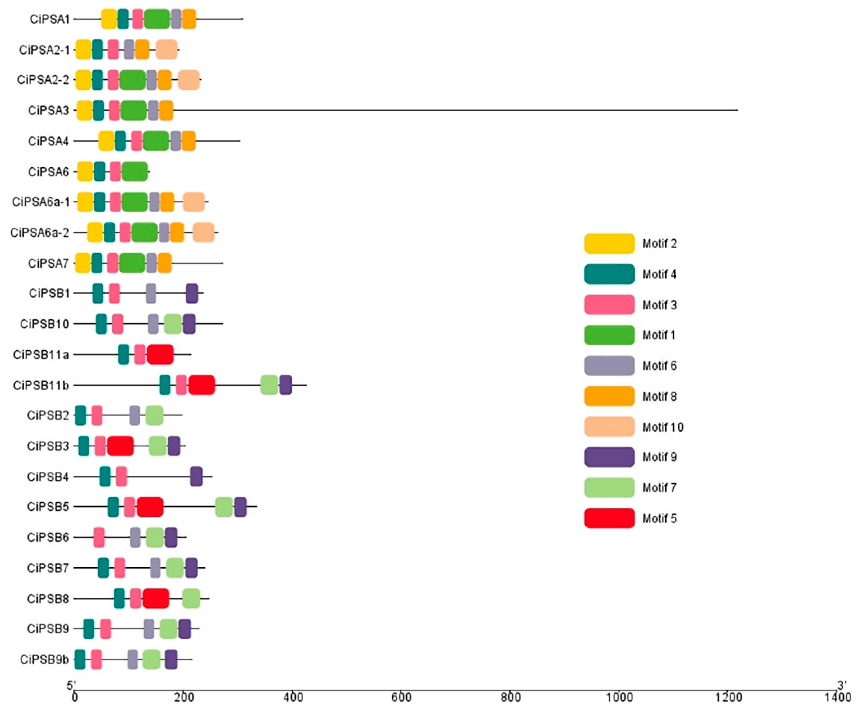 Fishes 07 00350 g002 Fishes 07 00350 g002