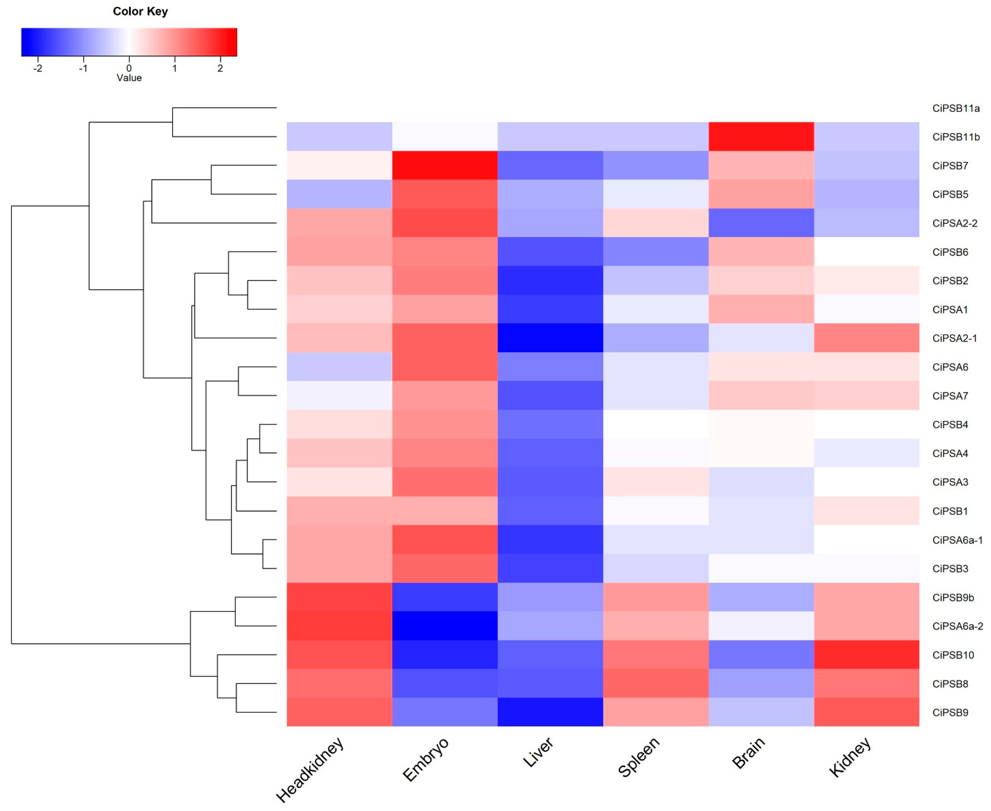 Fishes 07 00350 g006 Fishes 07 00350 g006