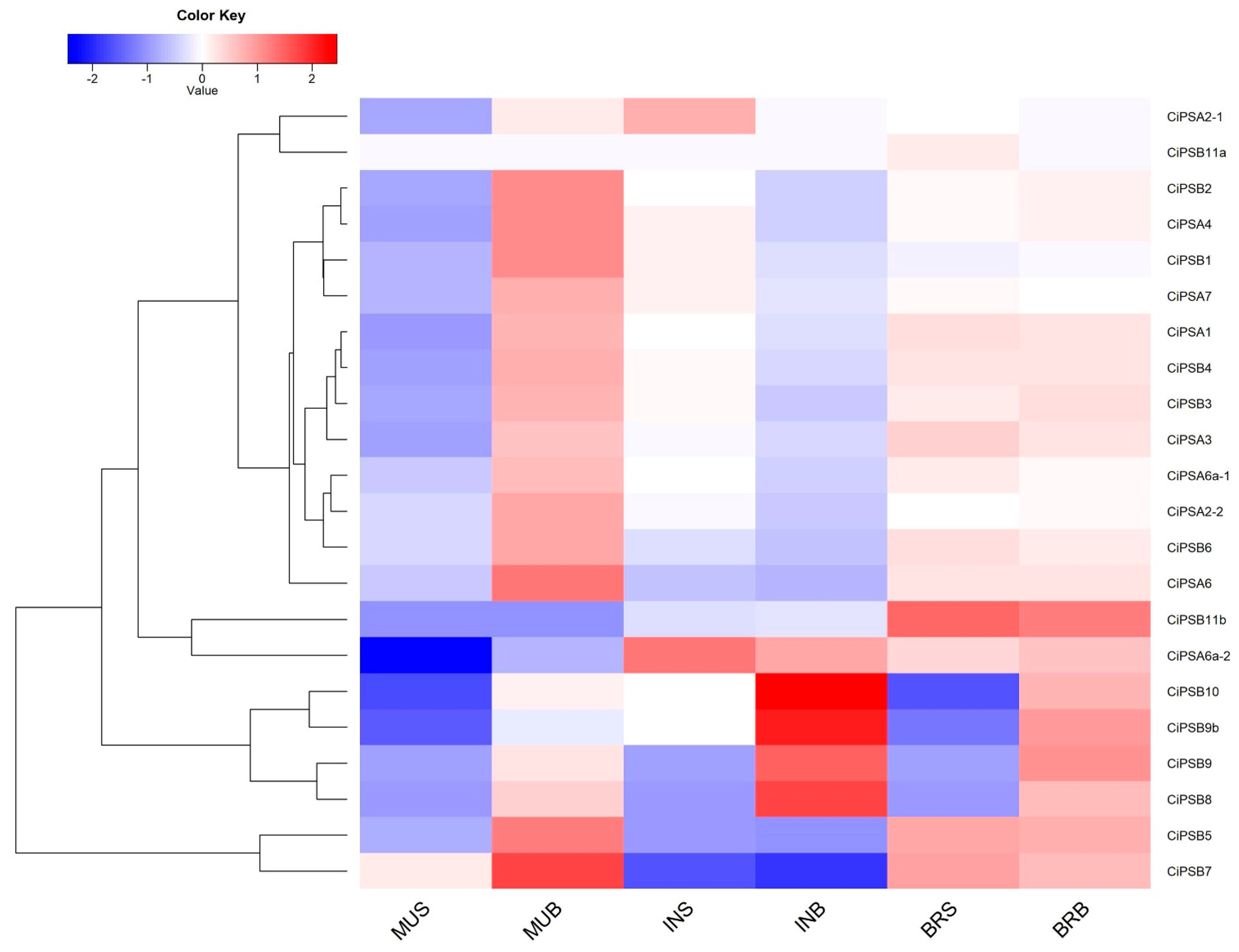 Fishes 07 00350 g007 Fishes 07 00350 g007