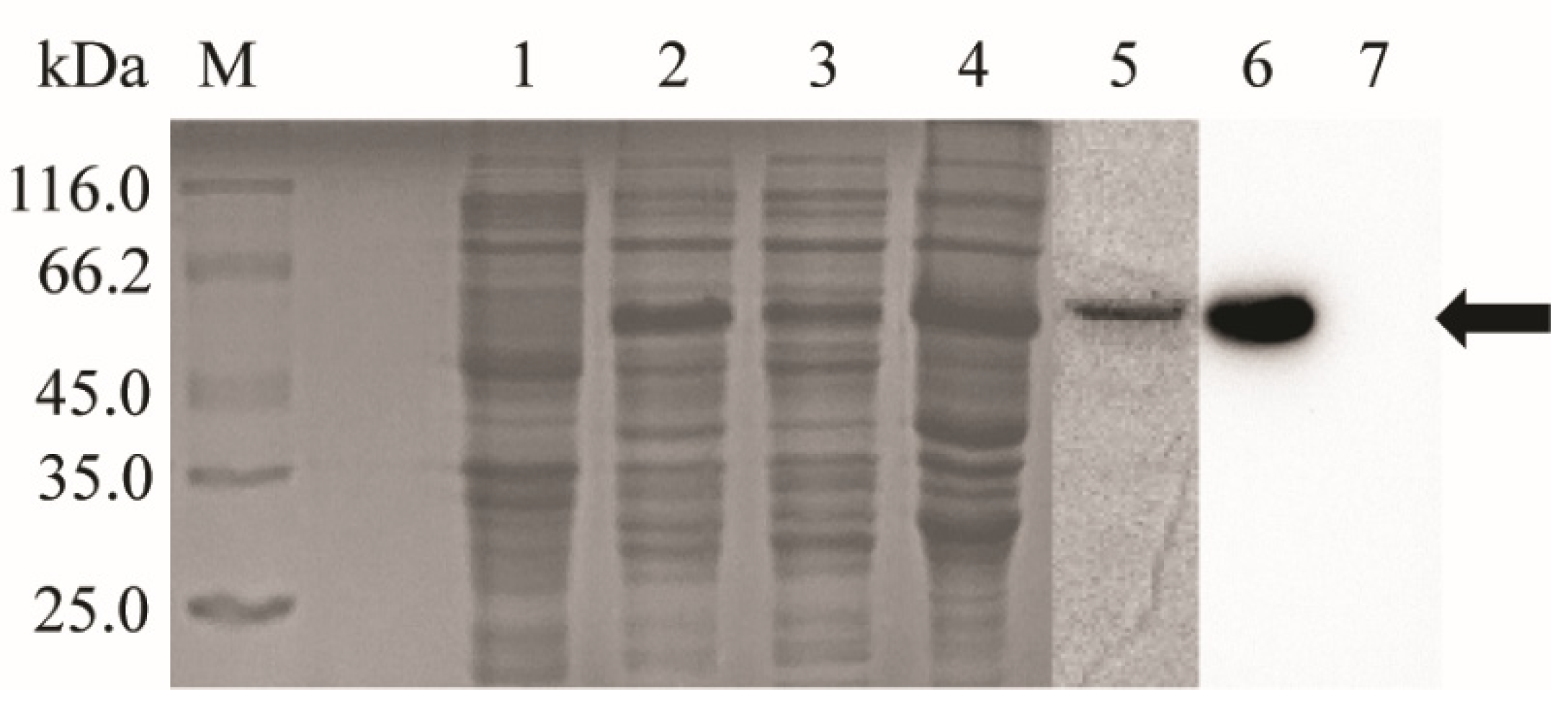 Fishes 07 00353 g001