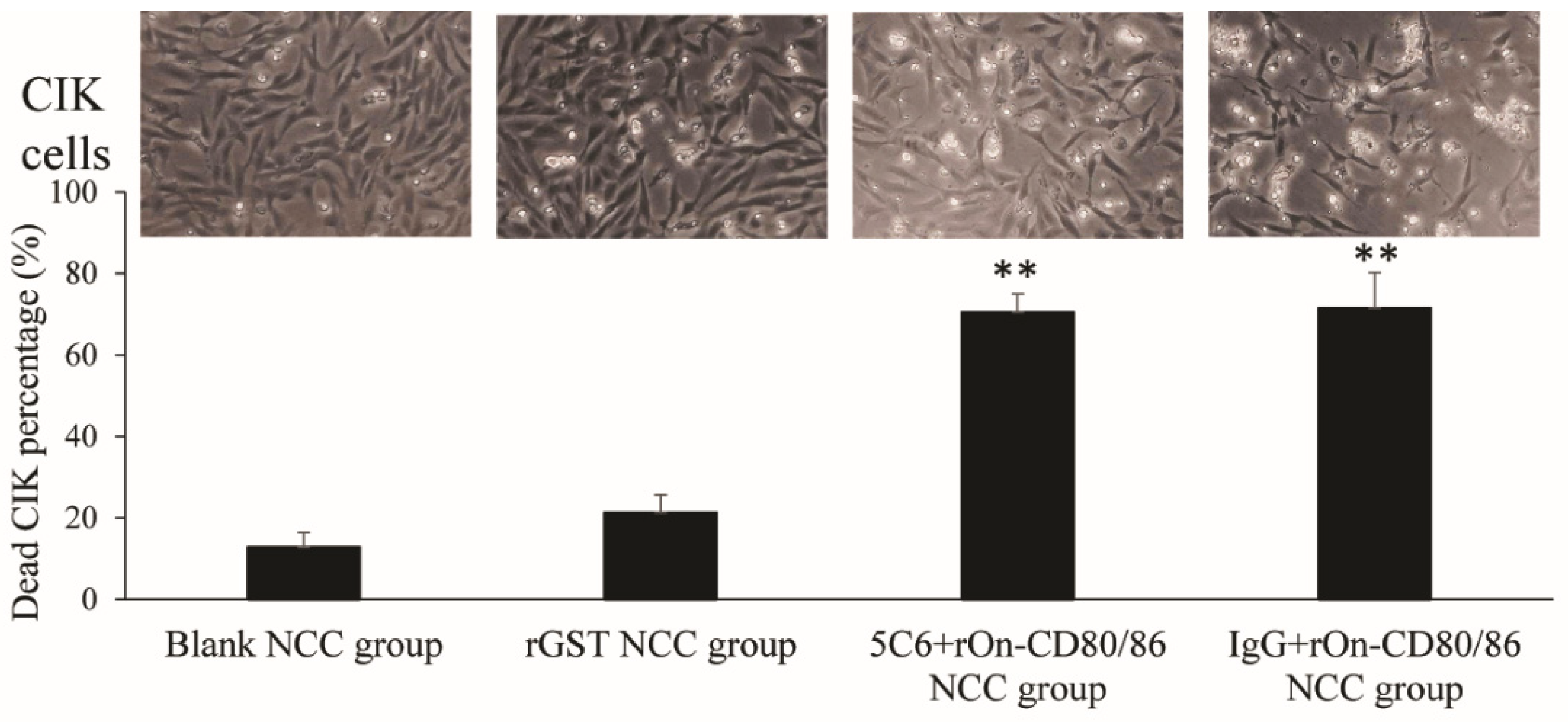 Fishes 07 00353 g003