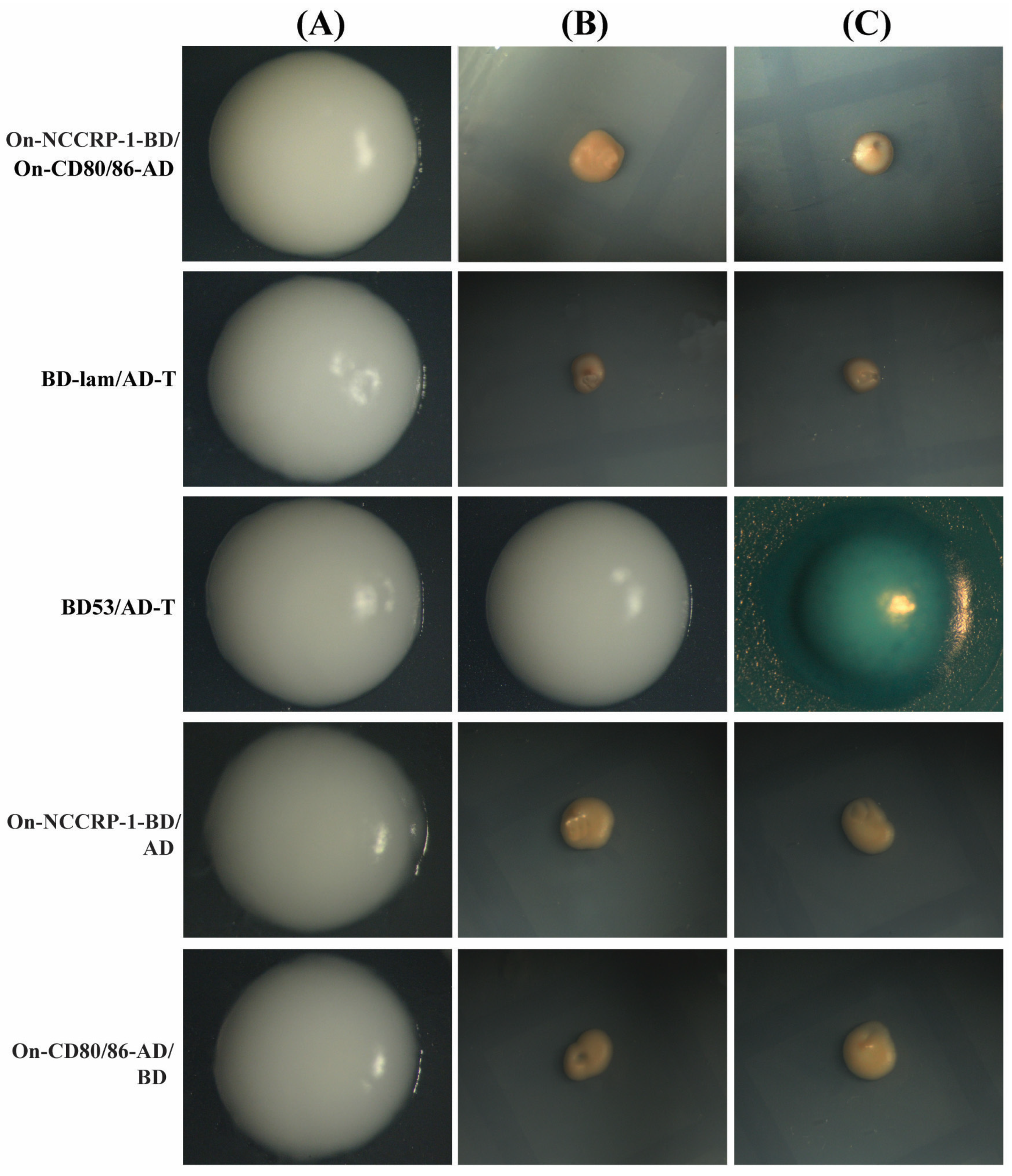 Fishes 07 00353 g005