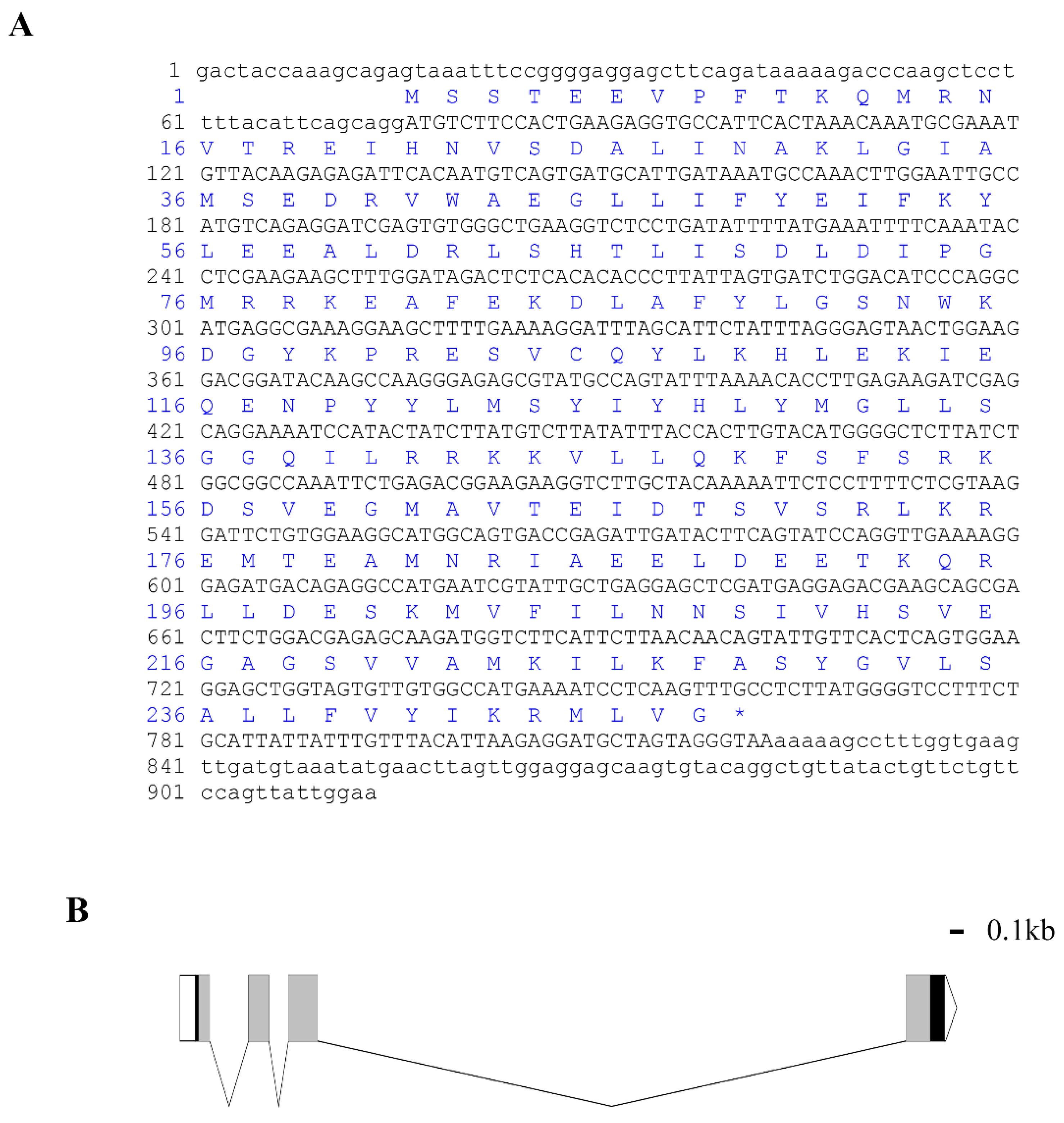Fishes 07 00356 g001