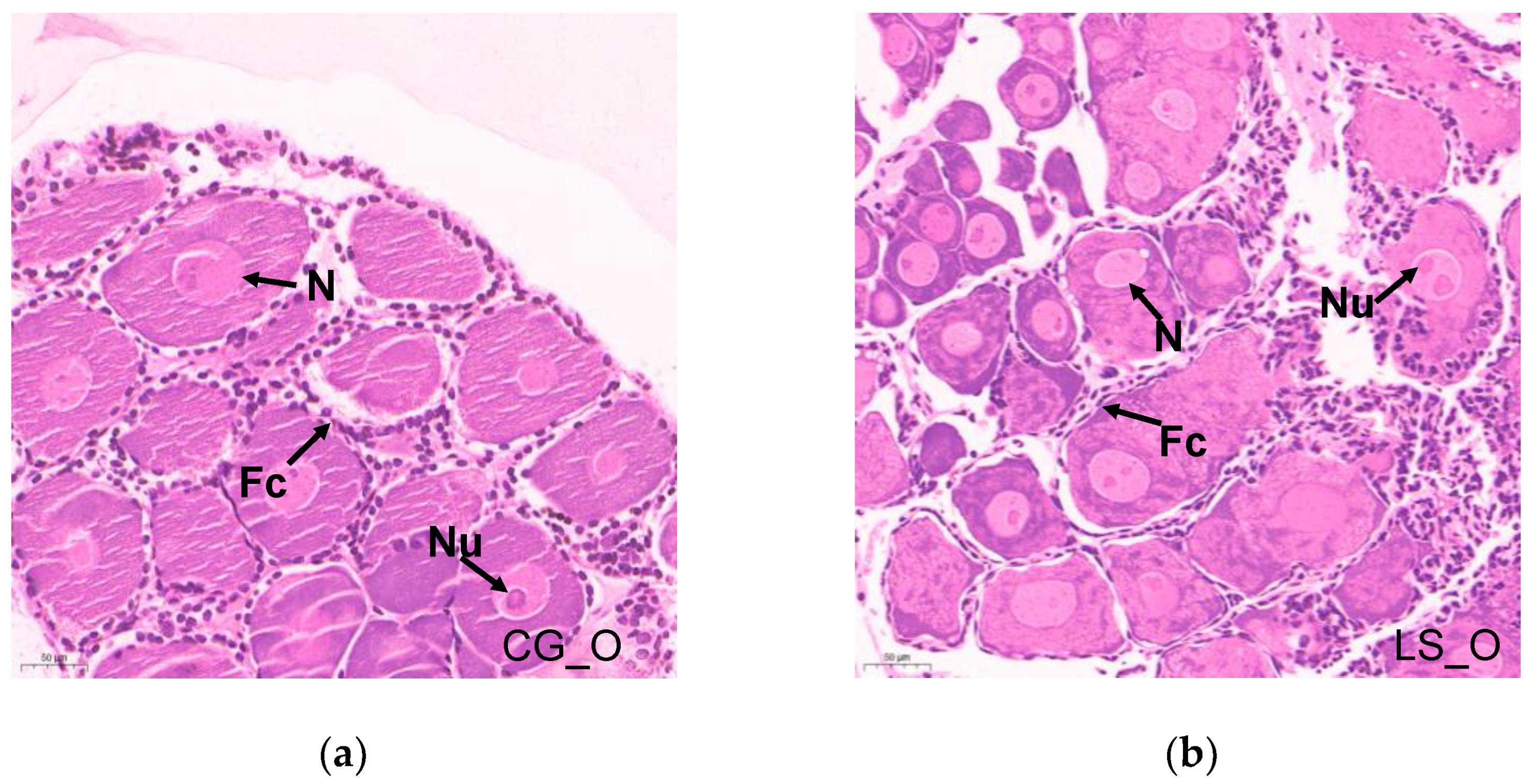 Fishes 07 00365 g002 550