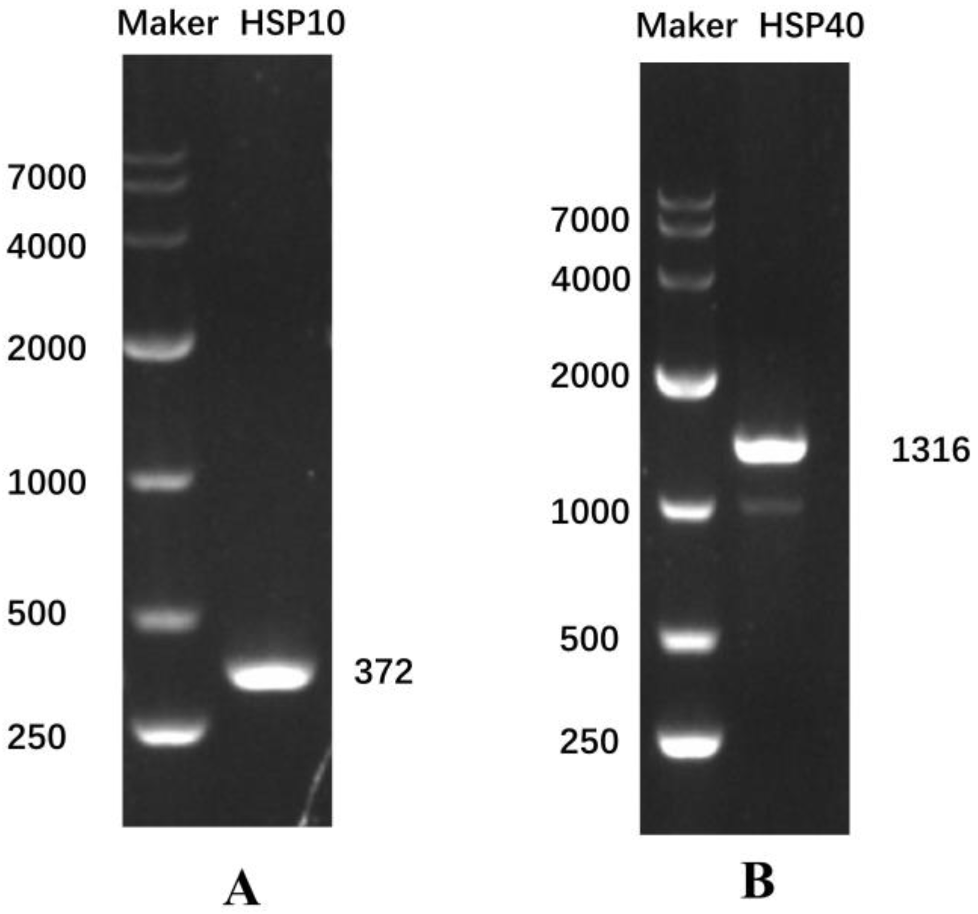 Fishes 07 00372 g001