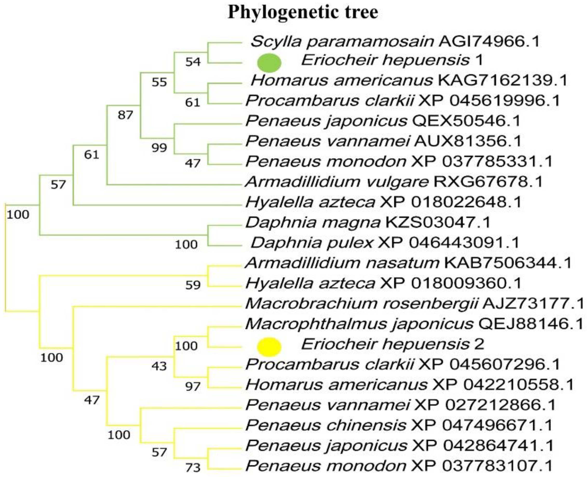 Fishes 07 00372 g003