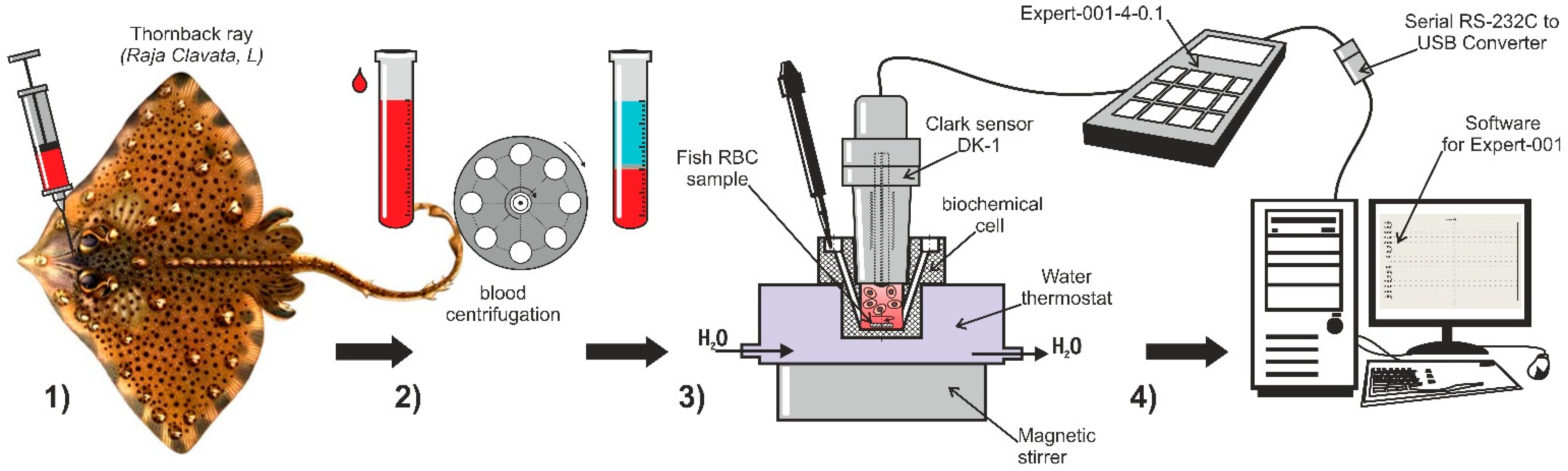 Fishes 07 00376 g001
