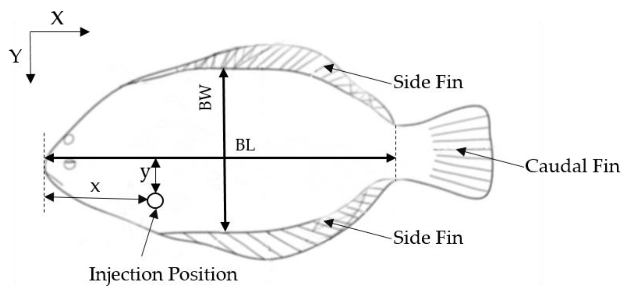 Fishes 07 00385 g003 Fishes 07 00385 g003