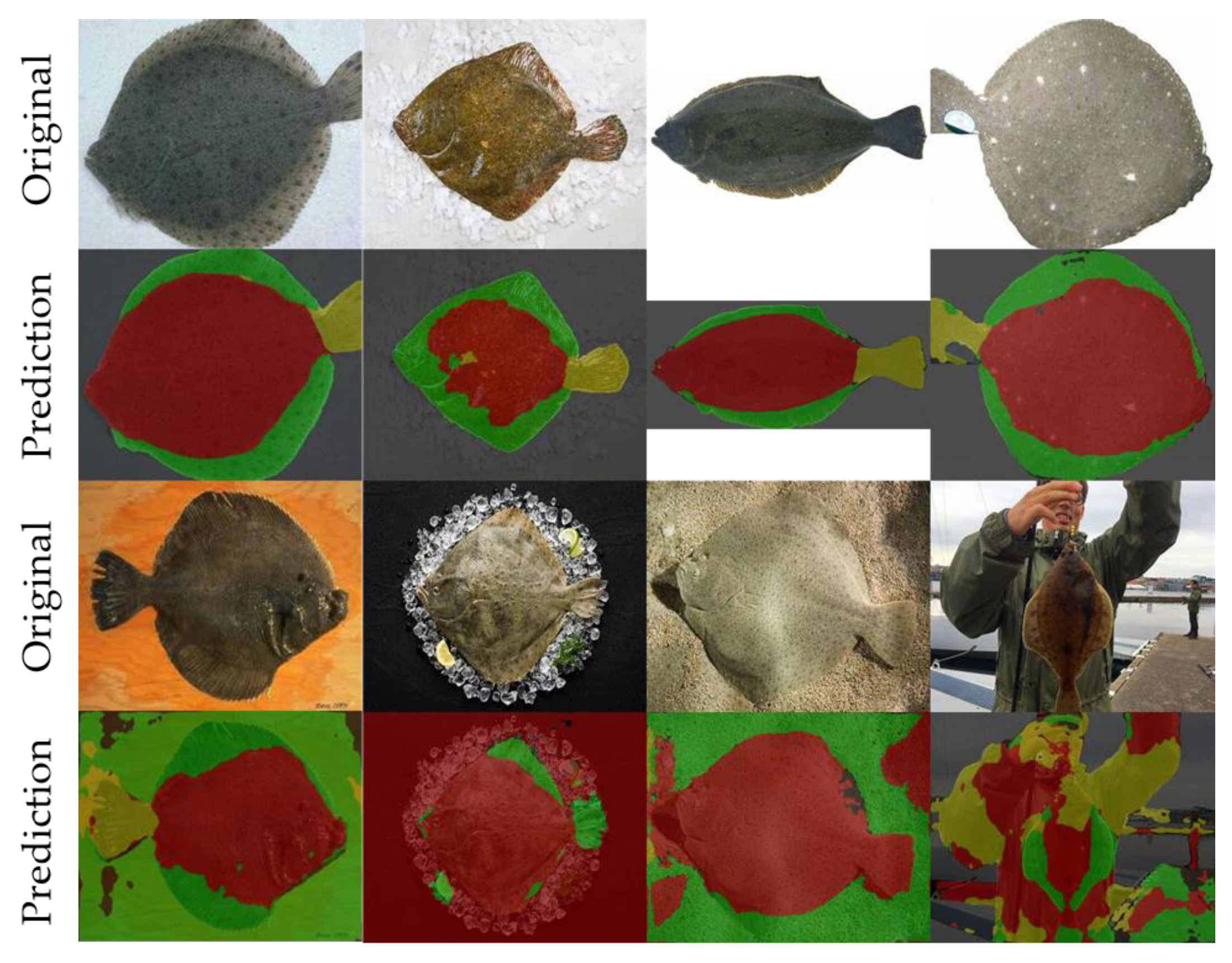 Fishes 07 00385 g007 Fishes 07 00385 g007