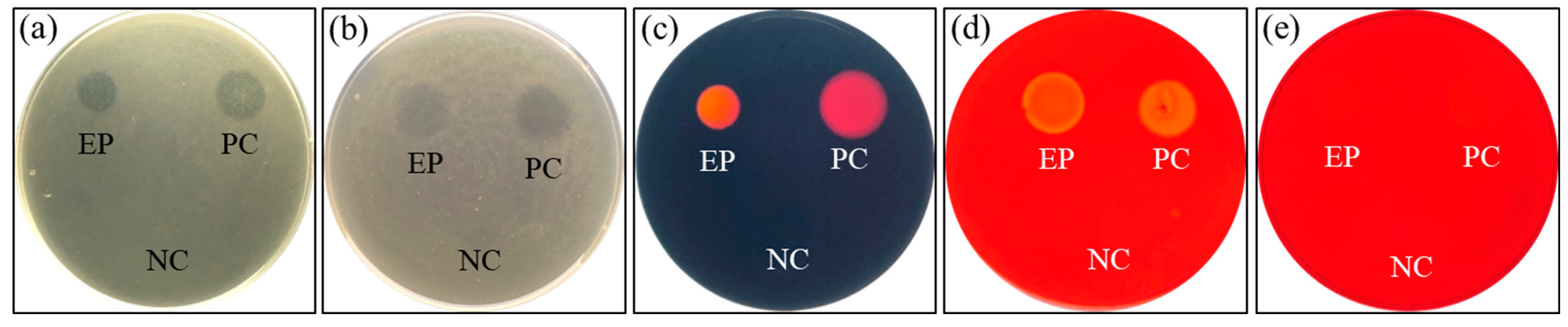 Fishes 07 00386 g001 Fishes 07 00386 g001