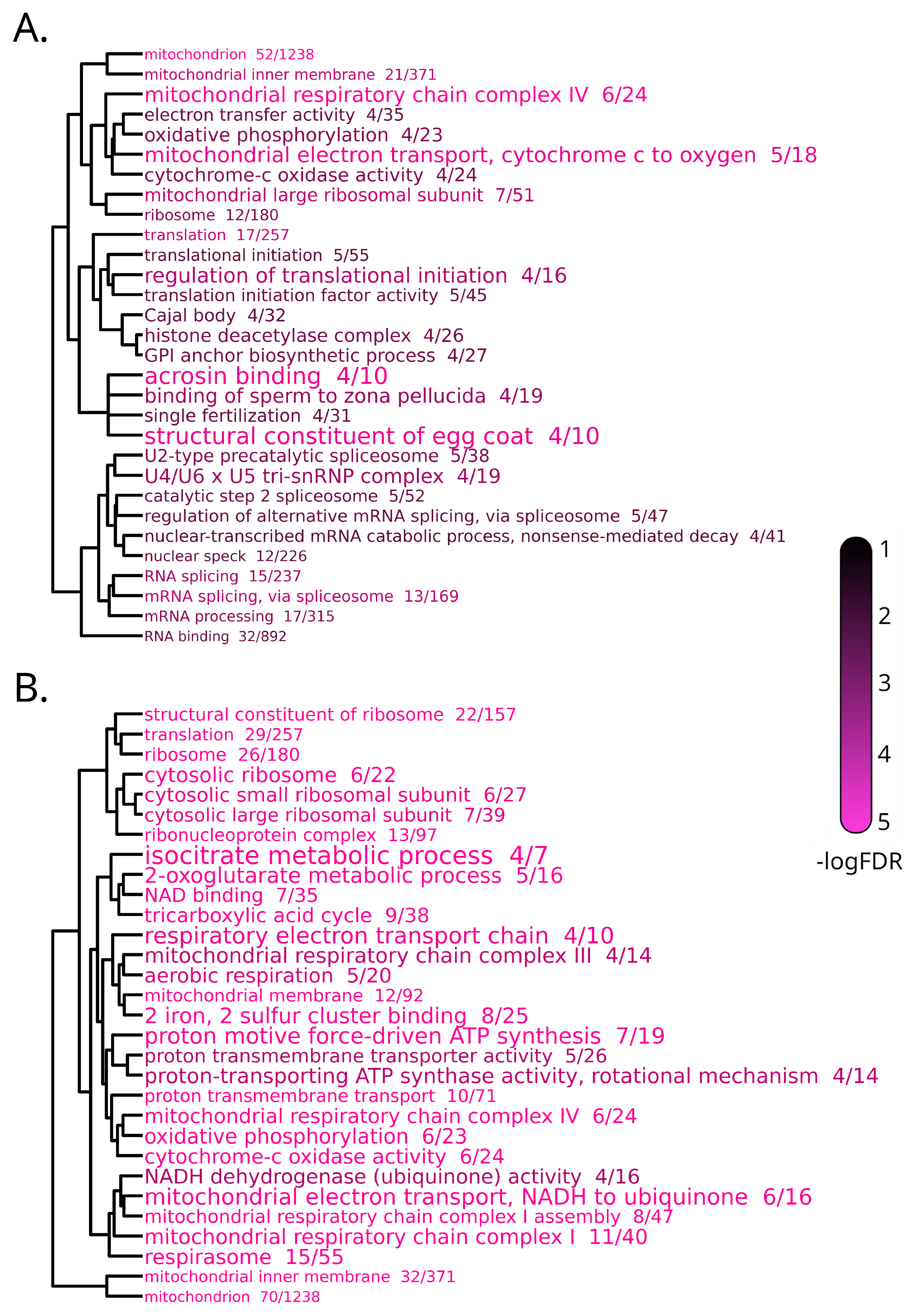 Fishes 07 00387 g007 Fishes 07 00387 g007