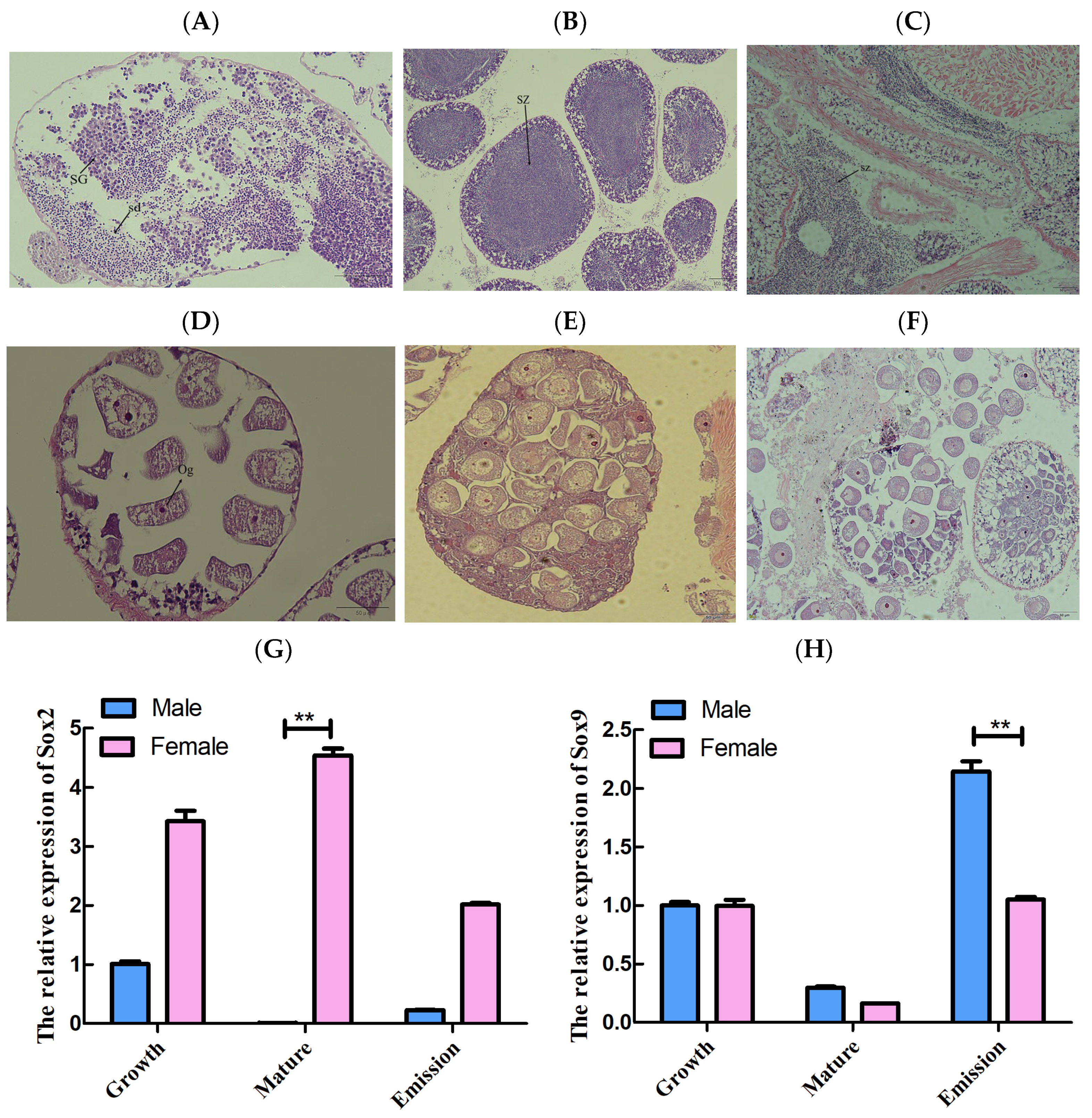 Fishes 07 00392 g006