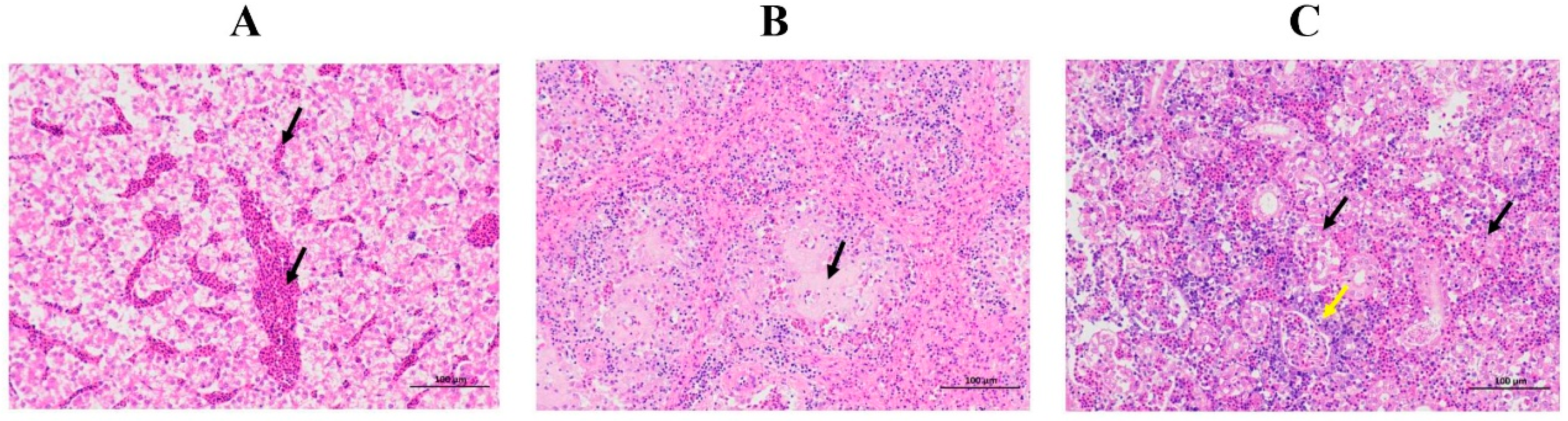 Fishes 07 00394 g002 Fishes 07 00394 g002