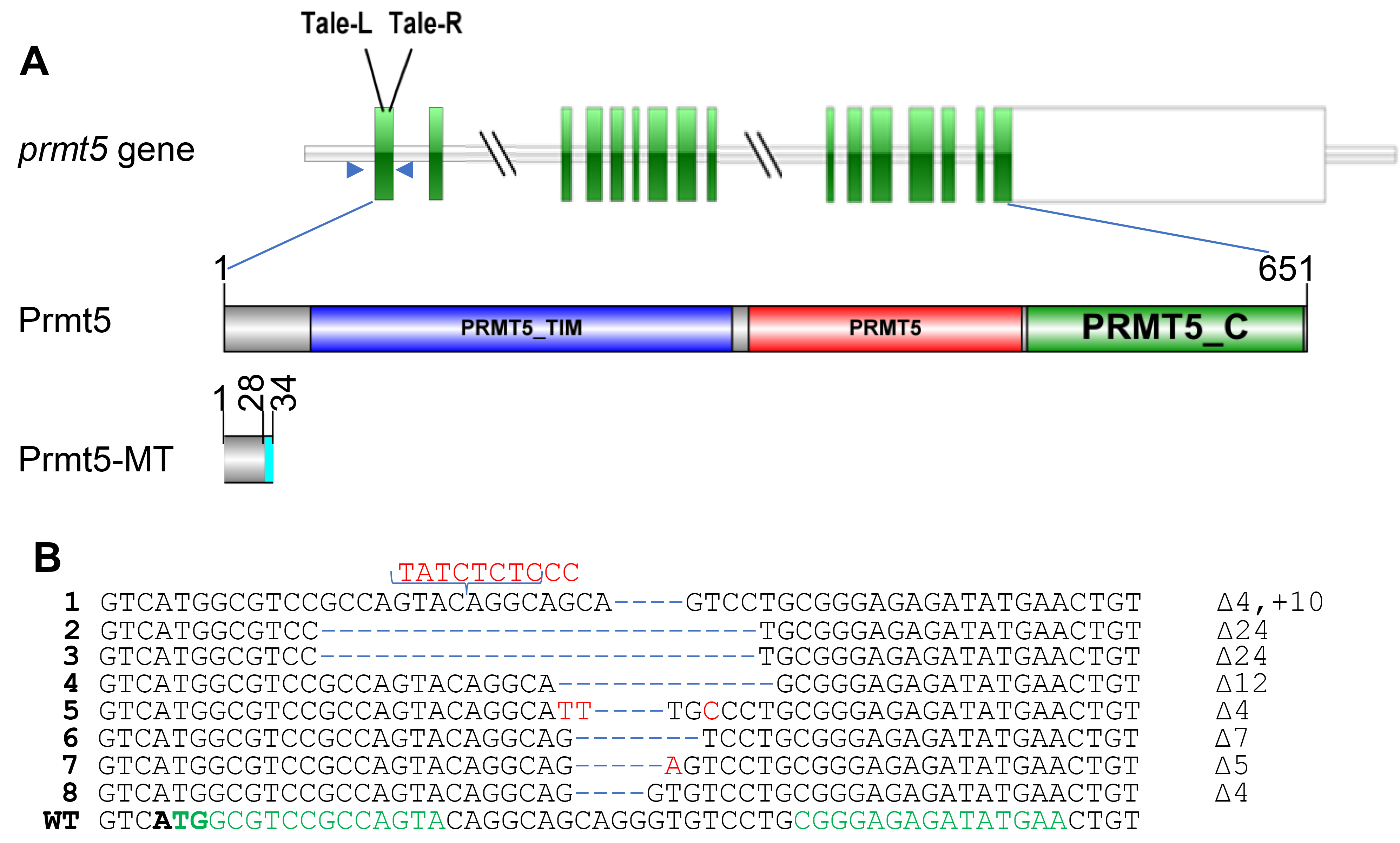 Fishes 08 00019 g001 Fishes 08 00019 g001