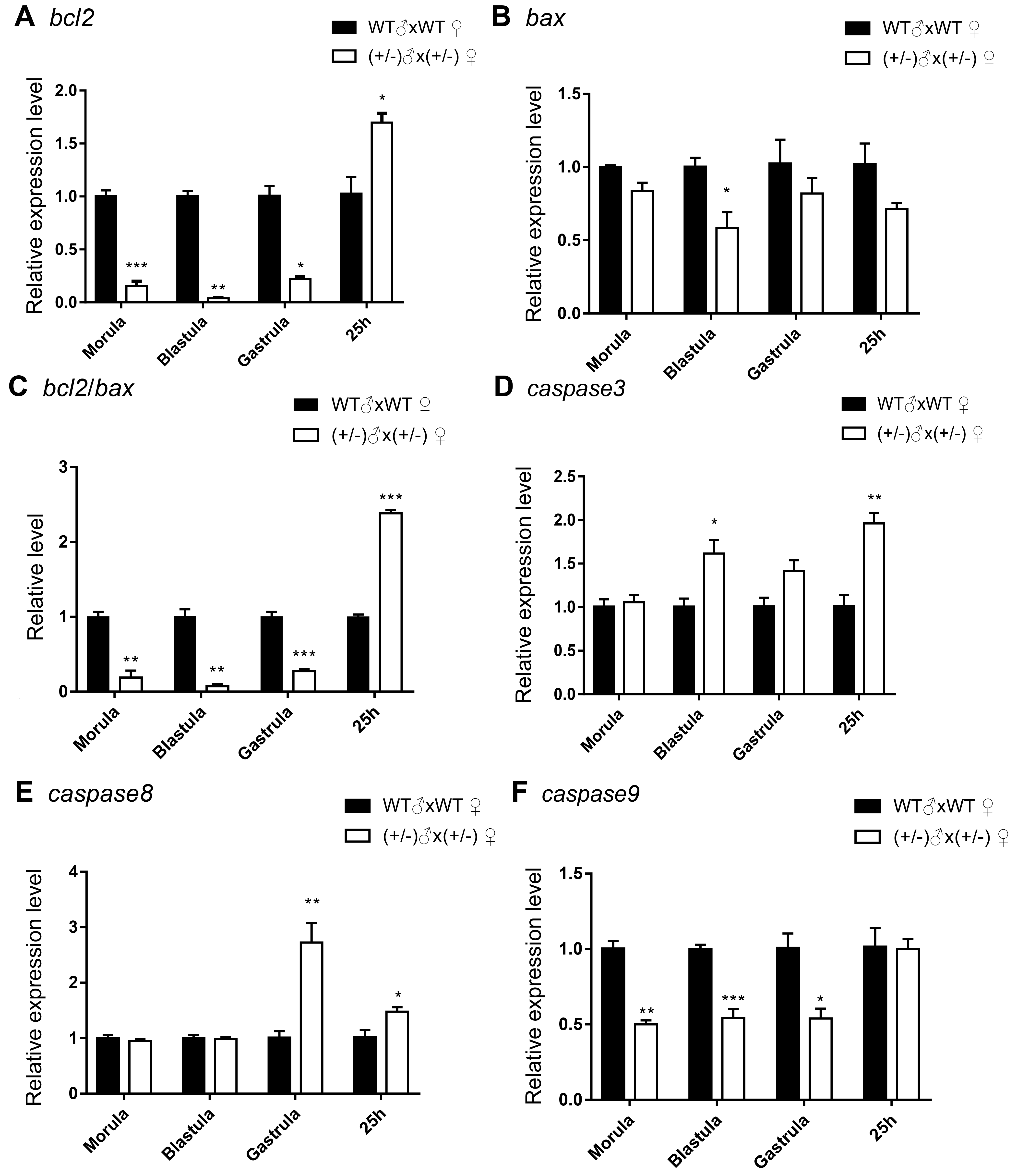 Fishes 08 00019 g005 Fishes 08 00019 g005