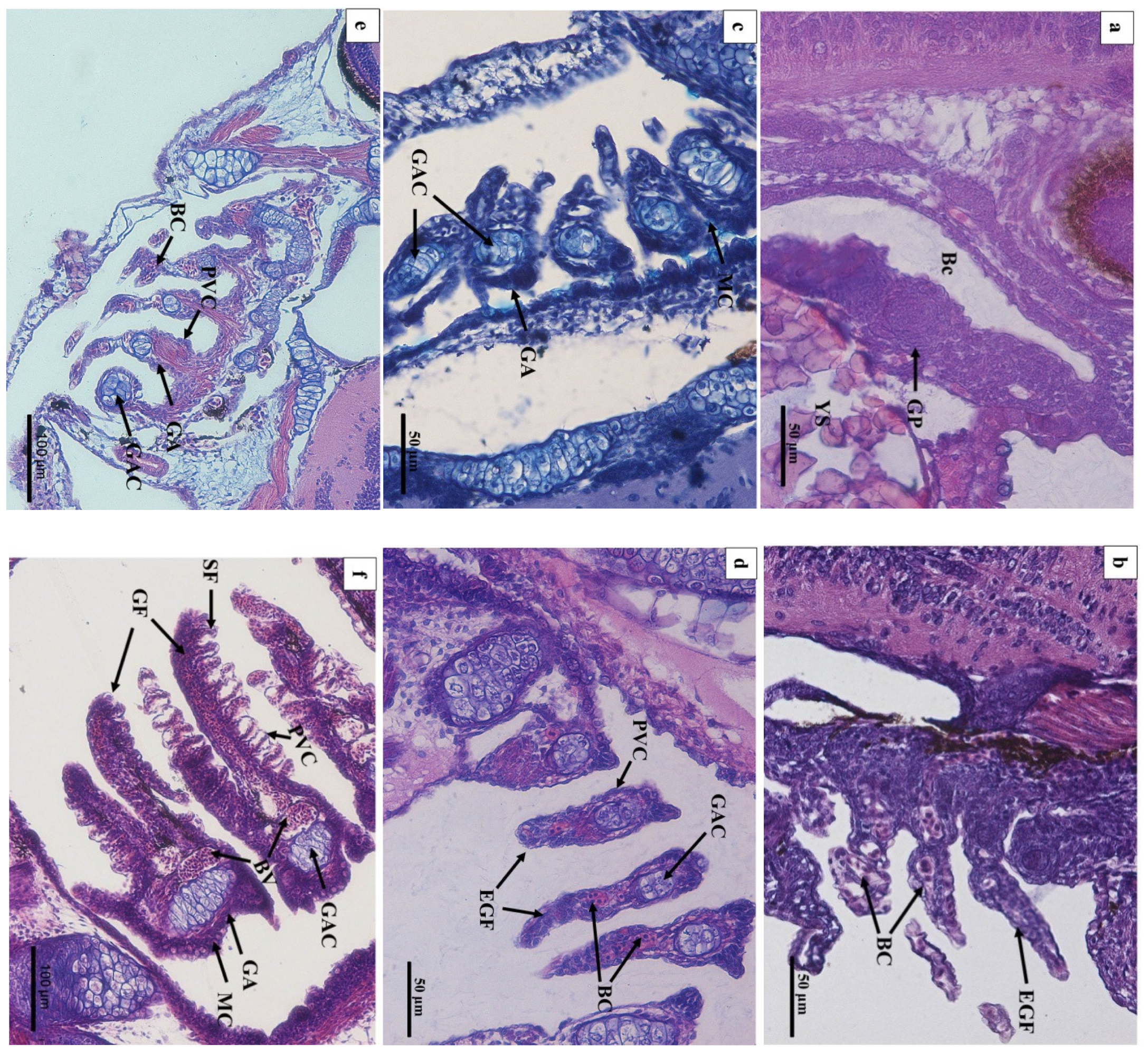 Fishes 08 00023 g003a Fishes 08 00023 g003a