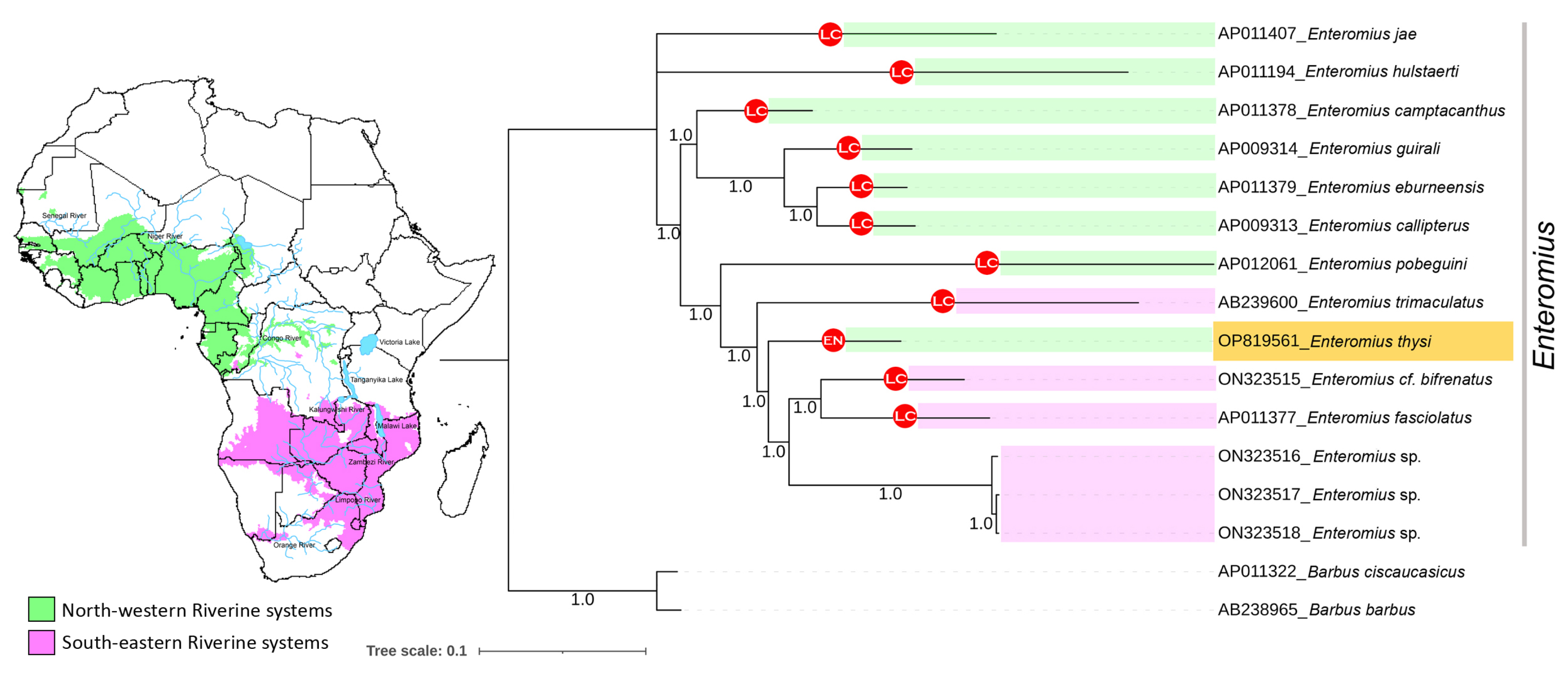 Fishes 08 00025 g004 Fishes 08 00025 g004