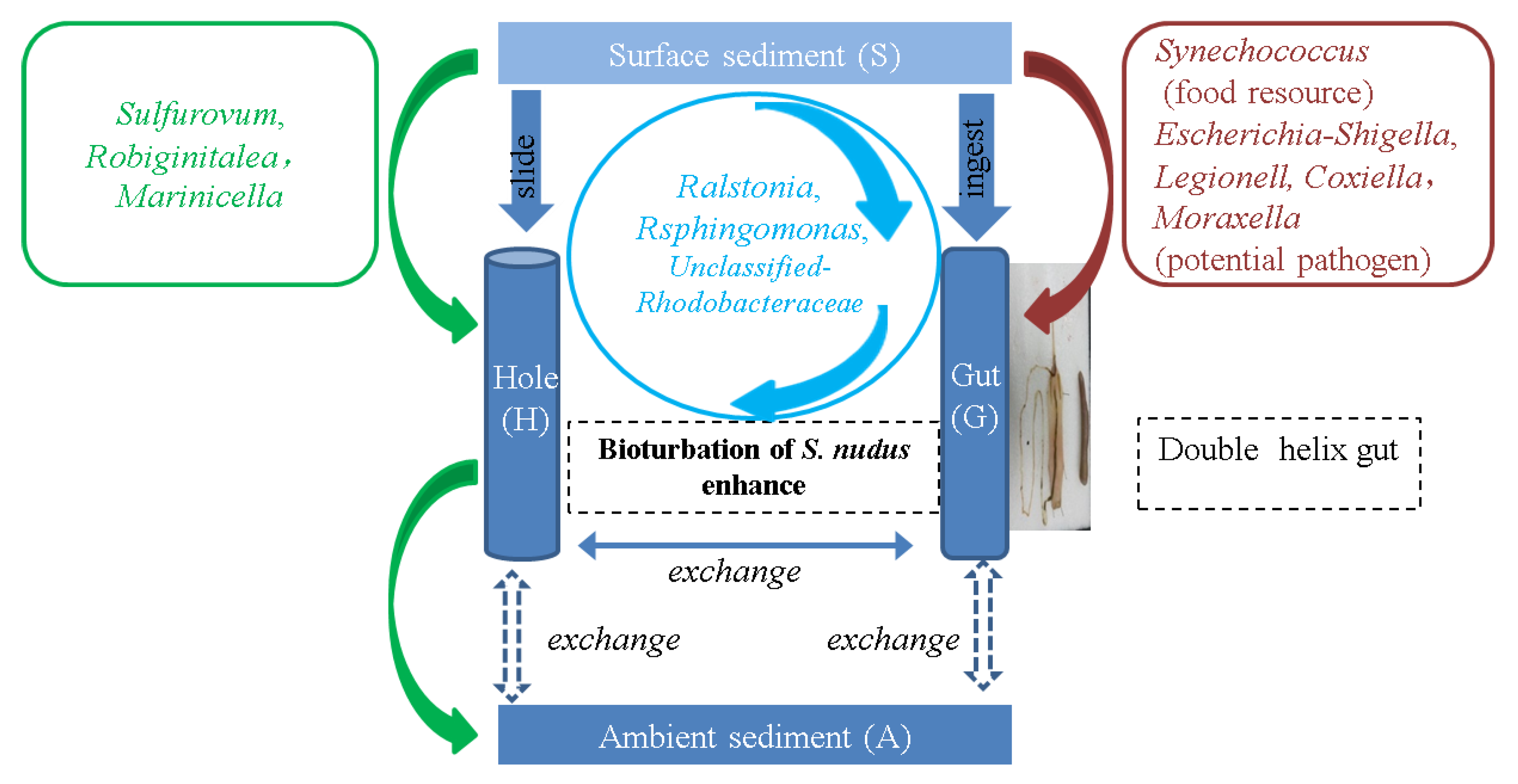 Fishes 08 00032 g008