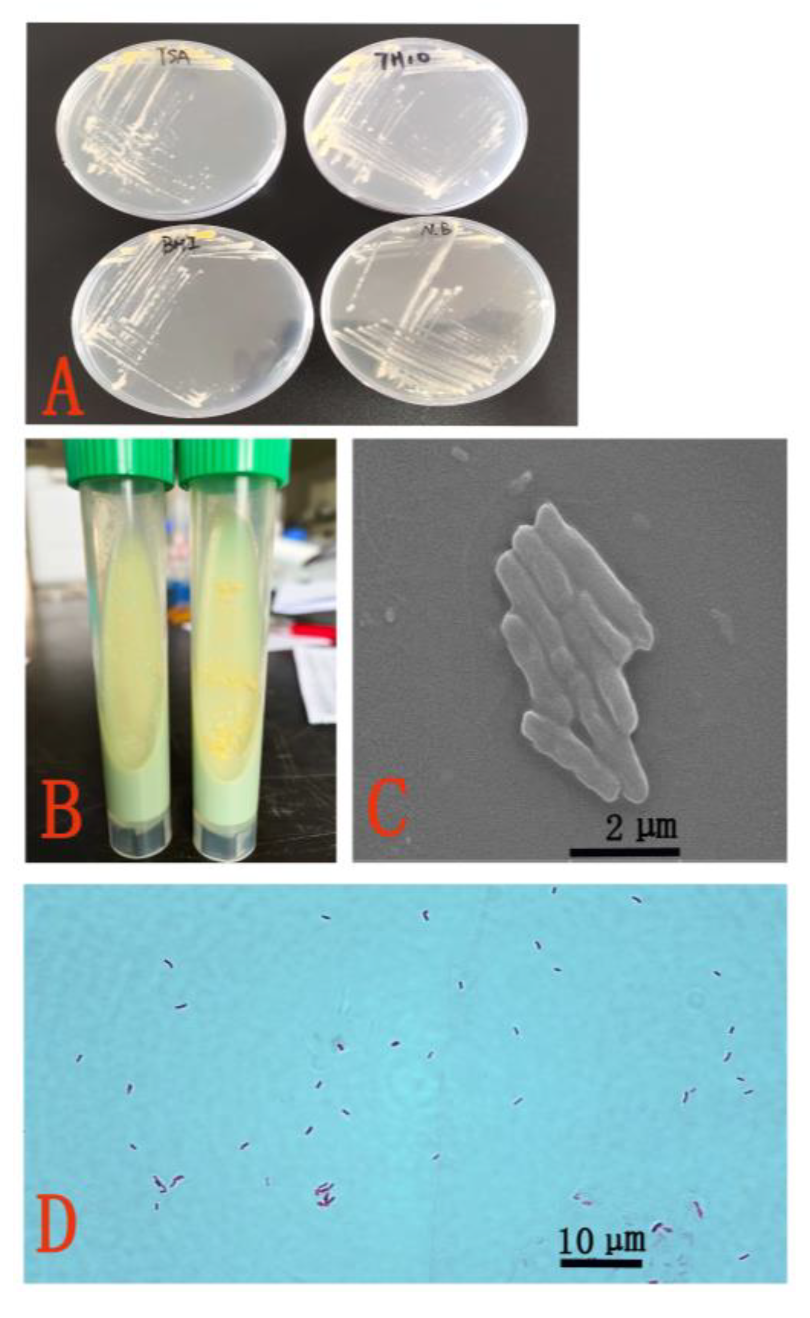 Fishes 08 00033 g002