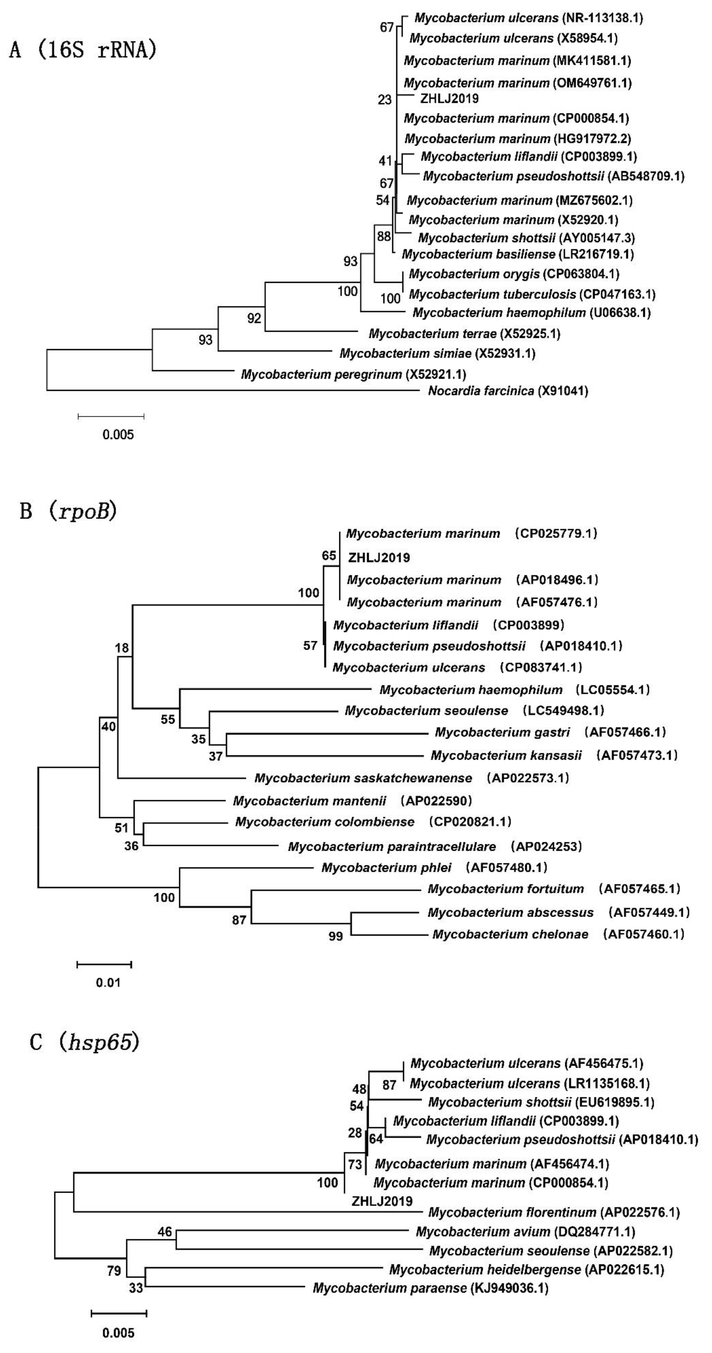 Fishes 08 00033 g003a