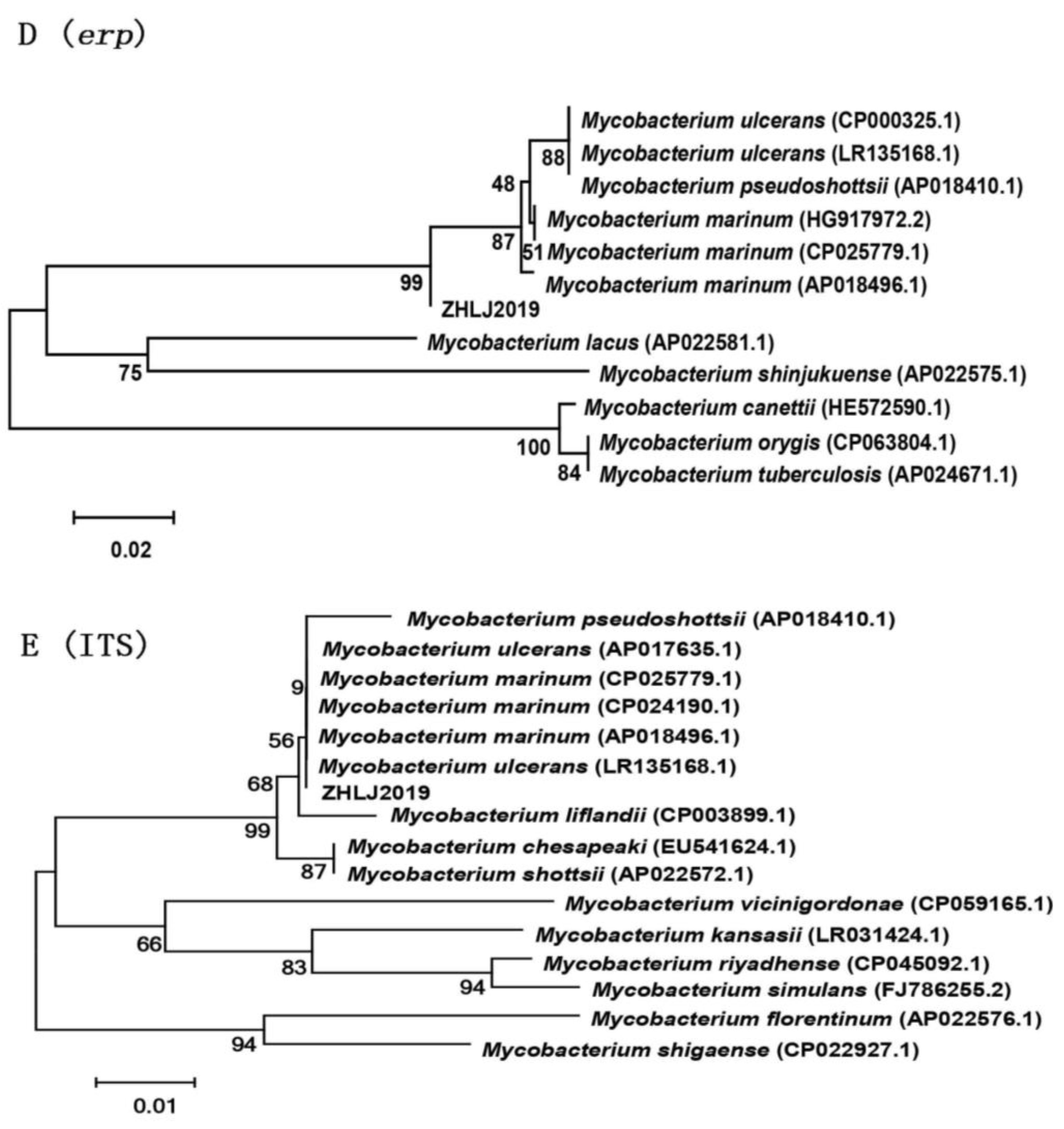 Fishes 08 00033 g003b