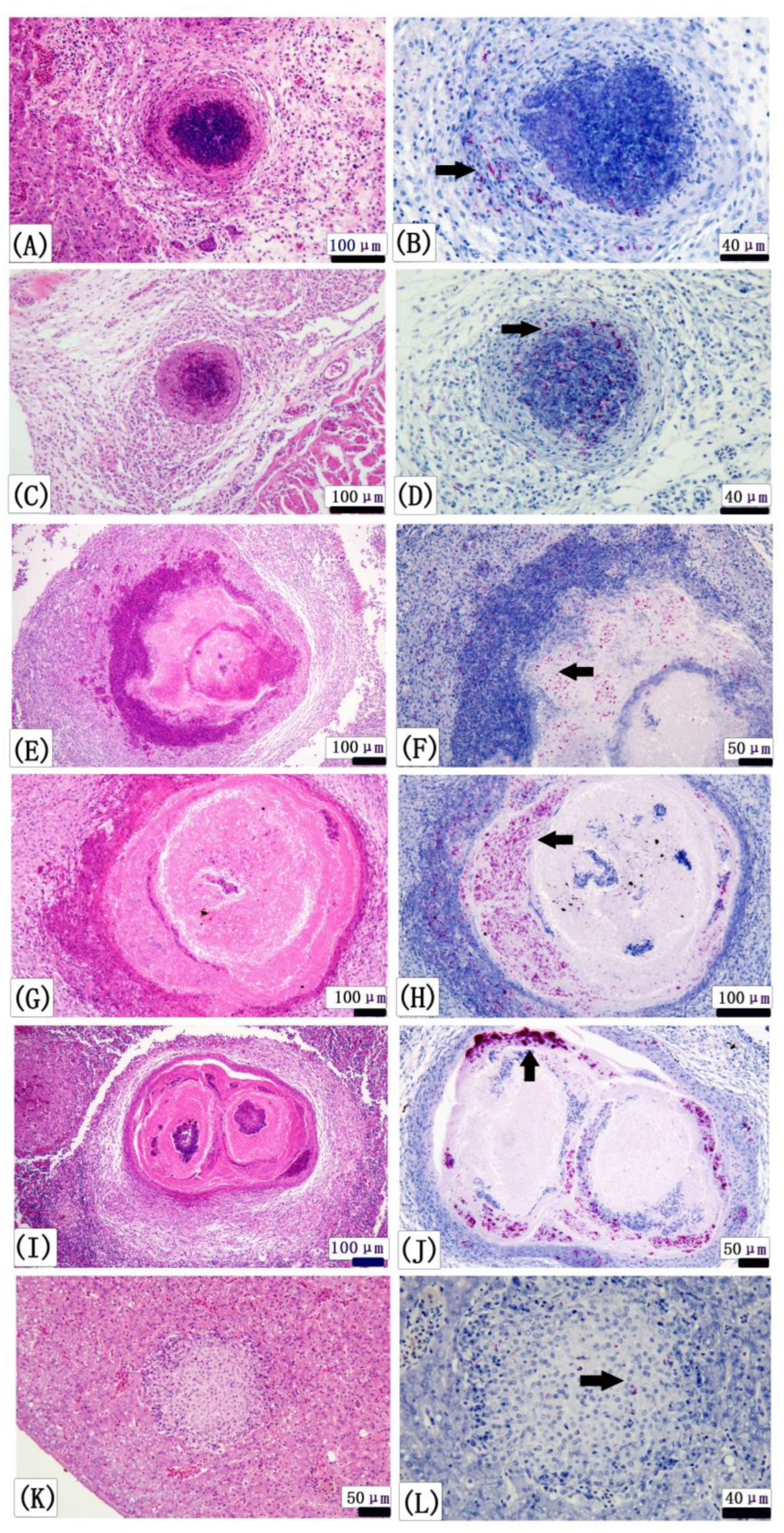 Fishes 08 00033 g004