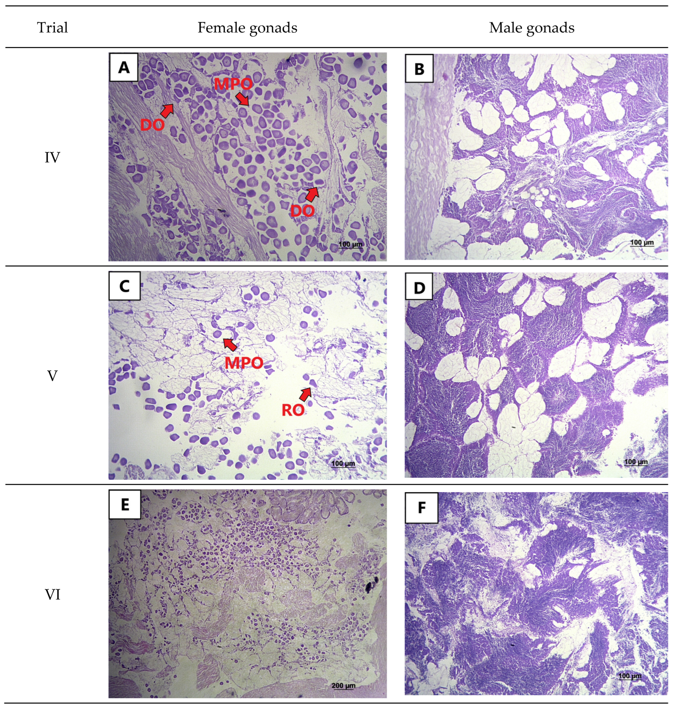 Fishes 08 00037 g002