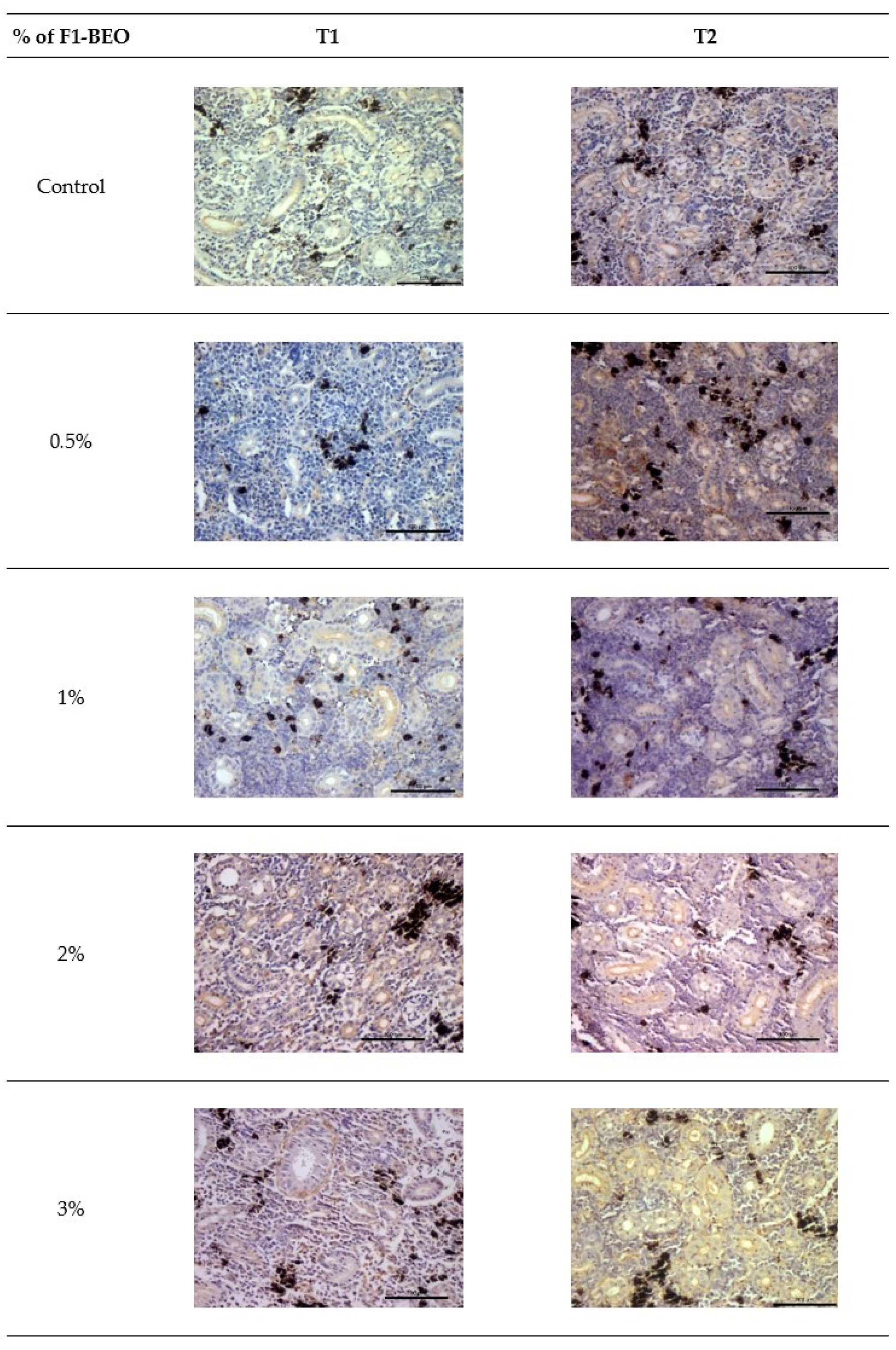 Fishes 08 00038 g007 Fishes 08 00038 g007