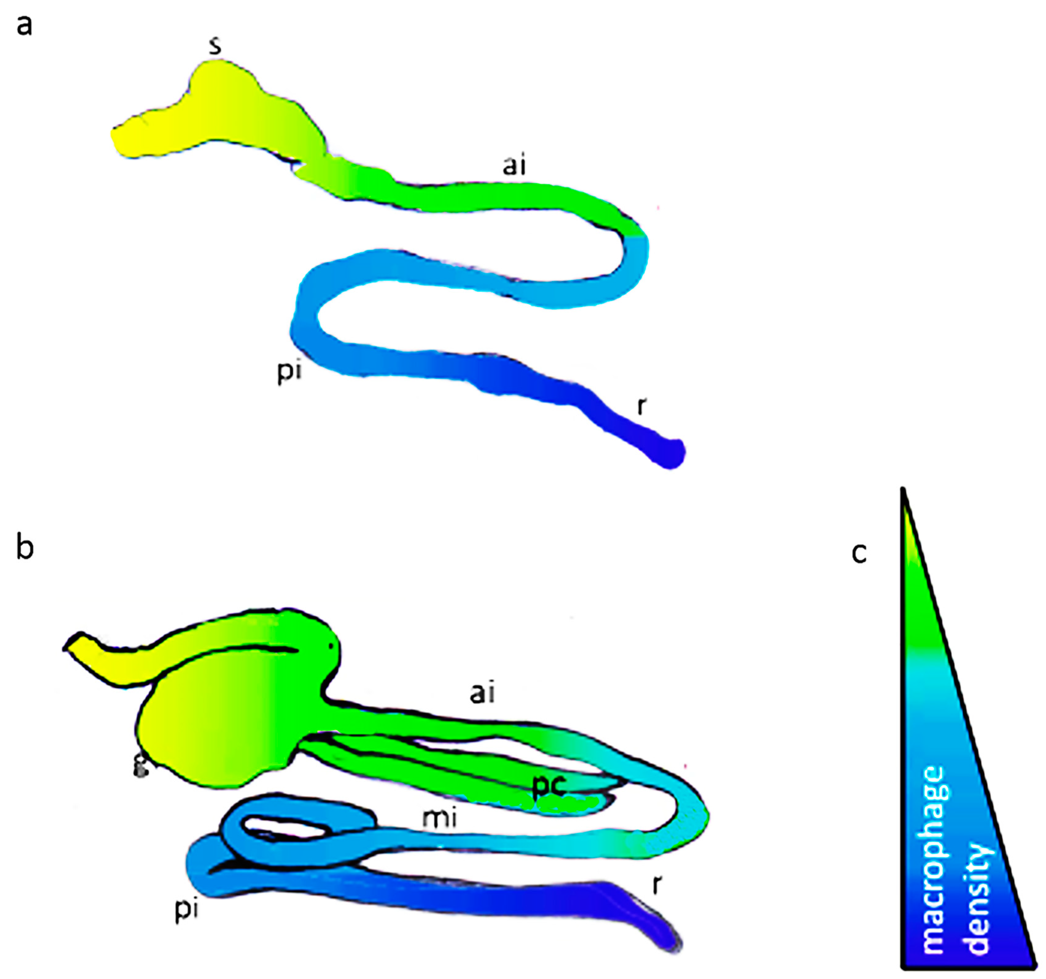 Fishes 08 00043 g001 Fishes 08 00043 g001