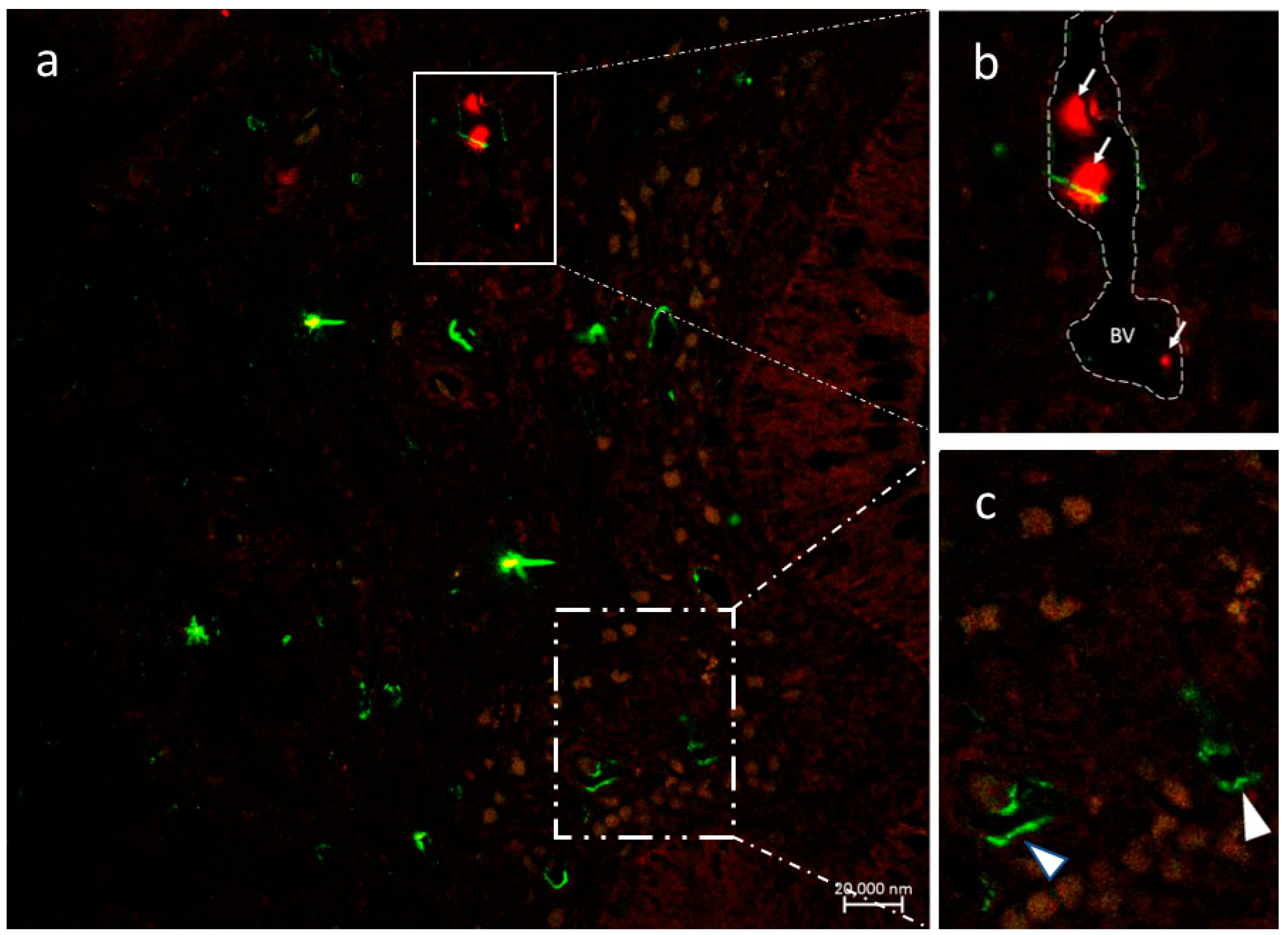 Fishes 08 00043 g003 Fishes 08 00043 g003