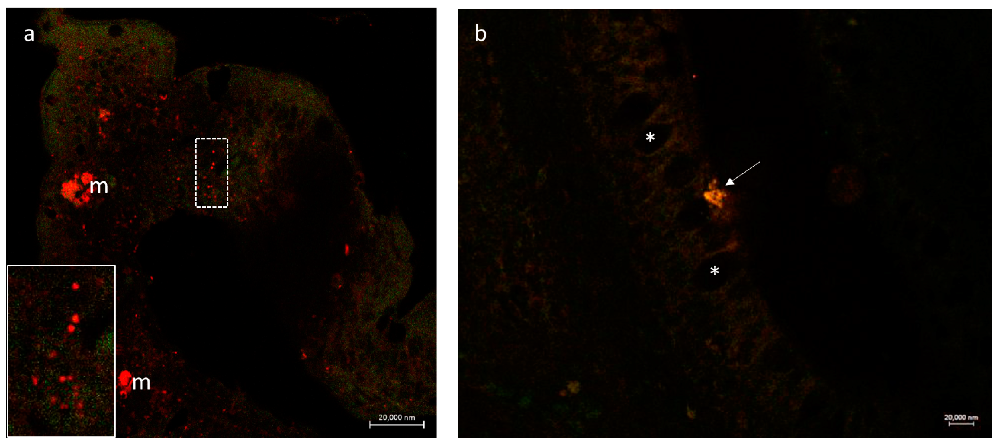 Fishes 08 00043 g004 Fishes 08 00043 g004