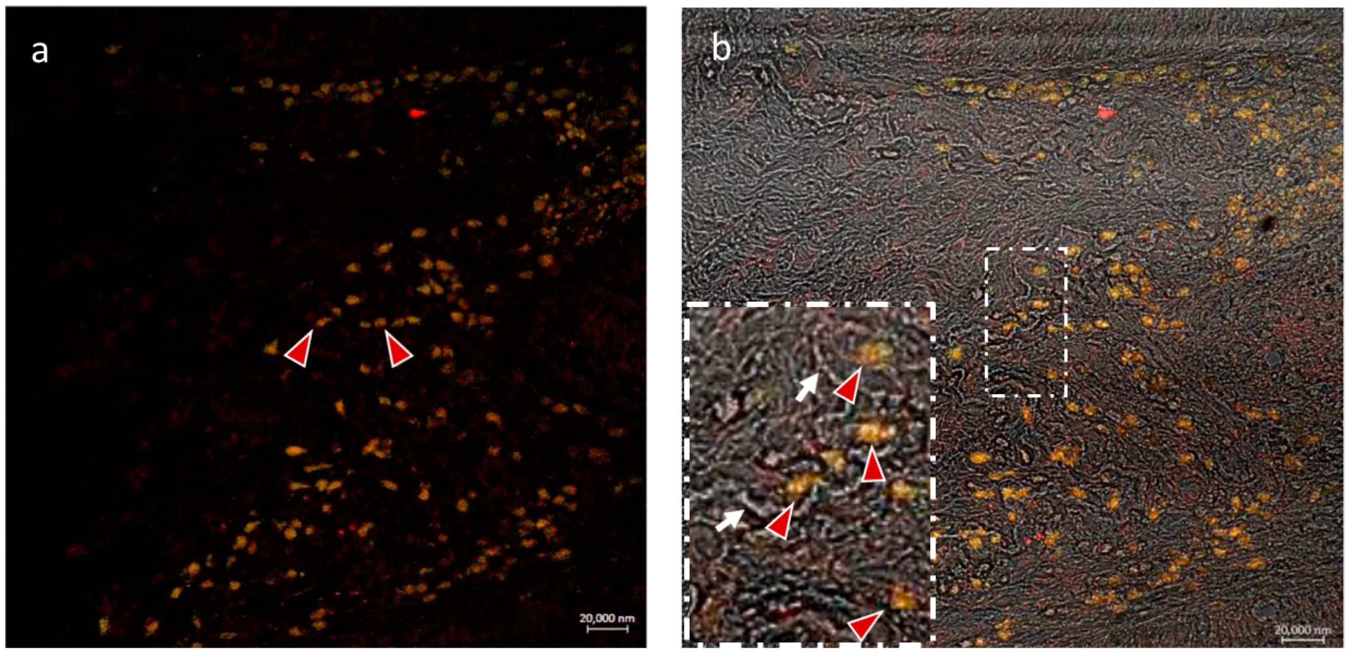 Fishes 08 00043 g005 Fishes 08 00043 g005