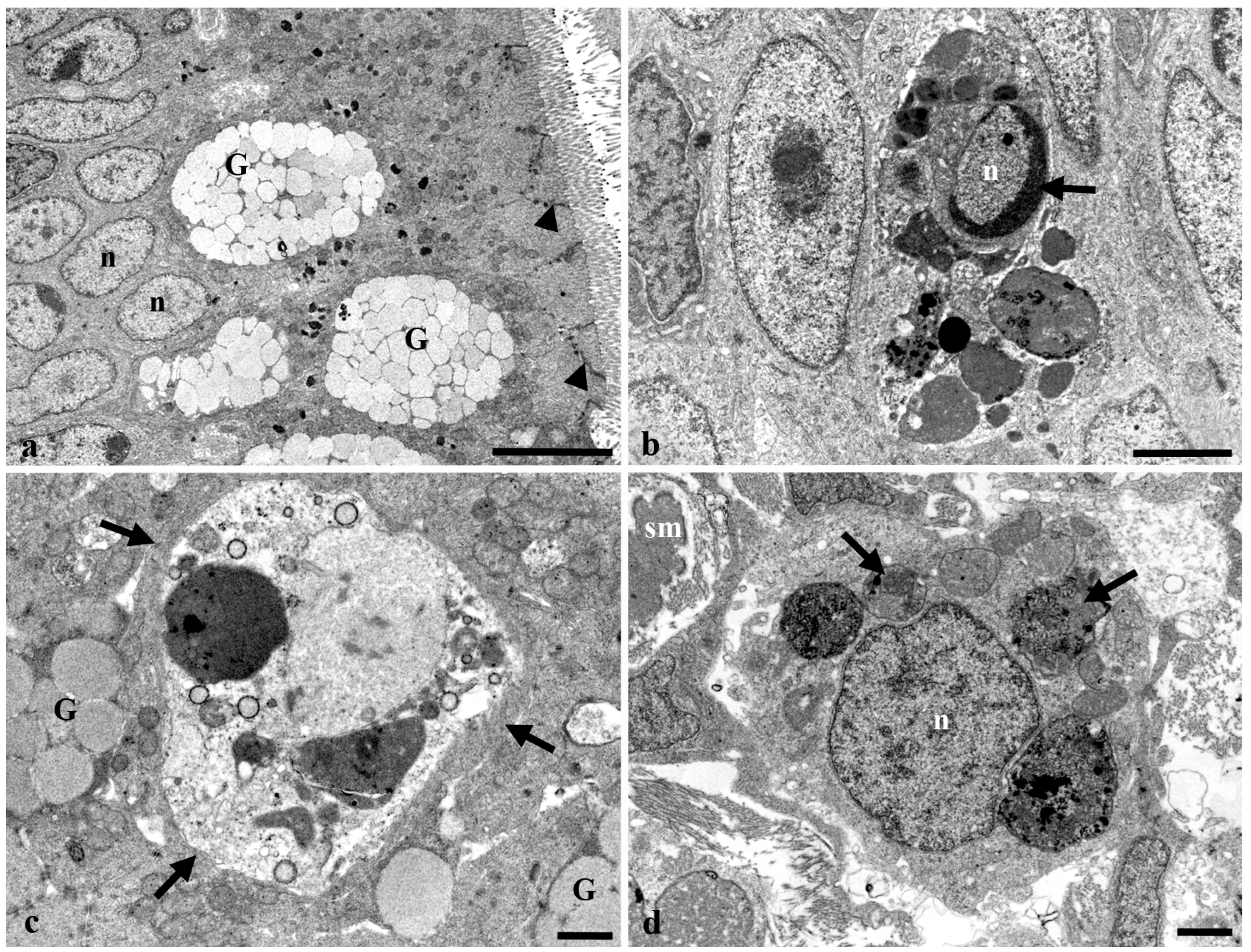 Fishes 08 00043 g007 Fishes 08 00043 g007