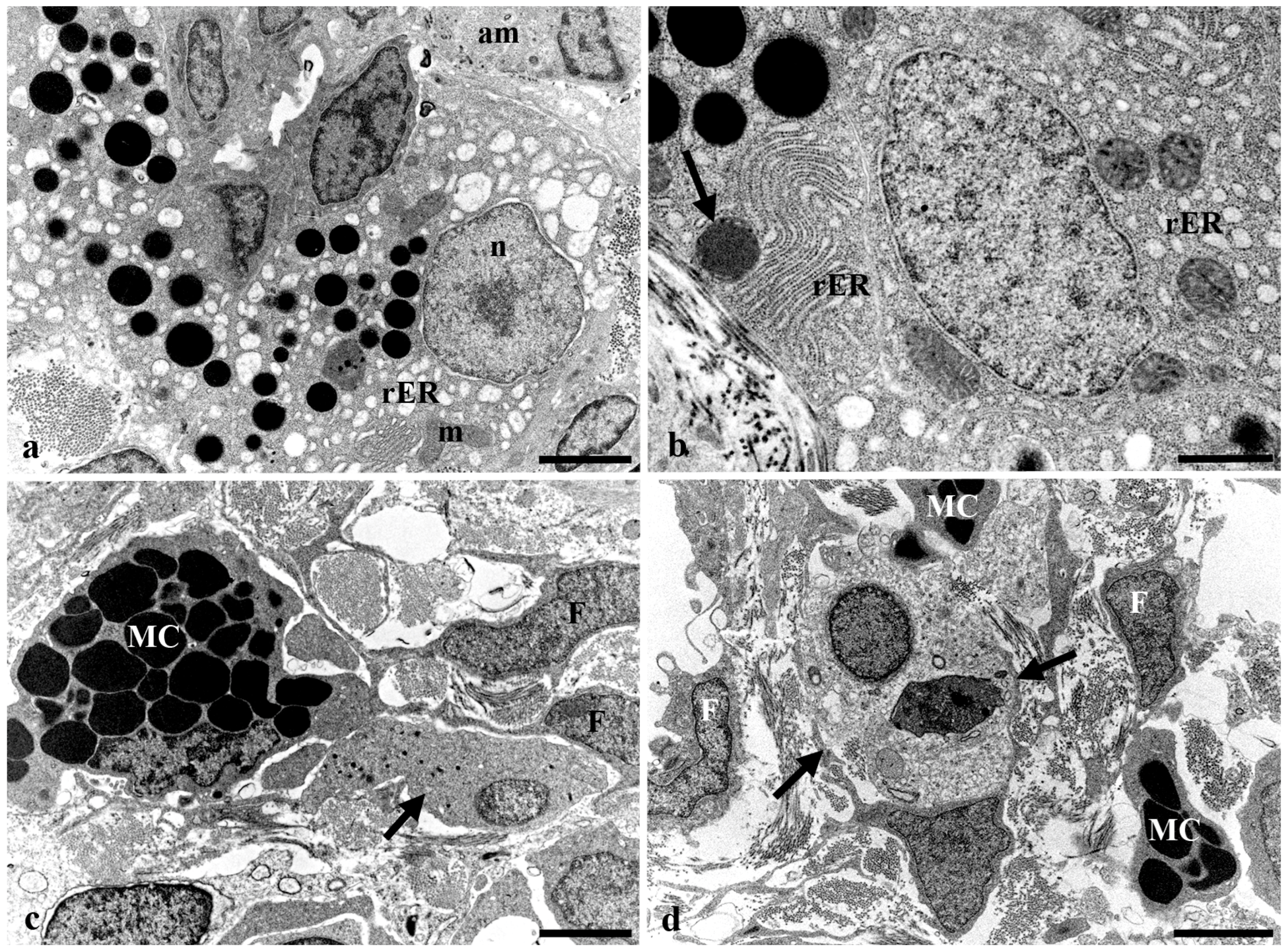 Fishes 08 00043 g008 Fishes 08 00043 g008