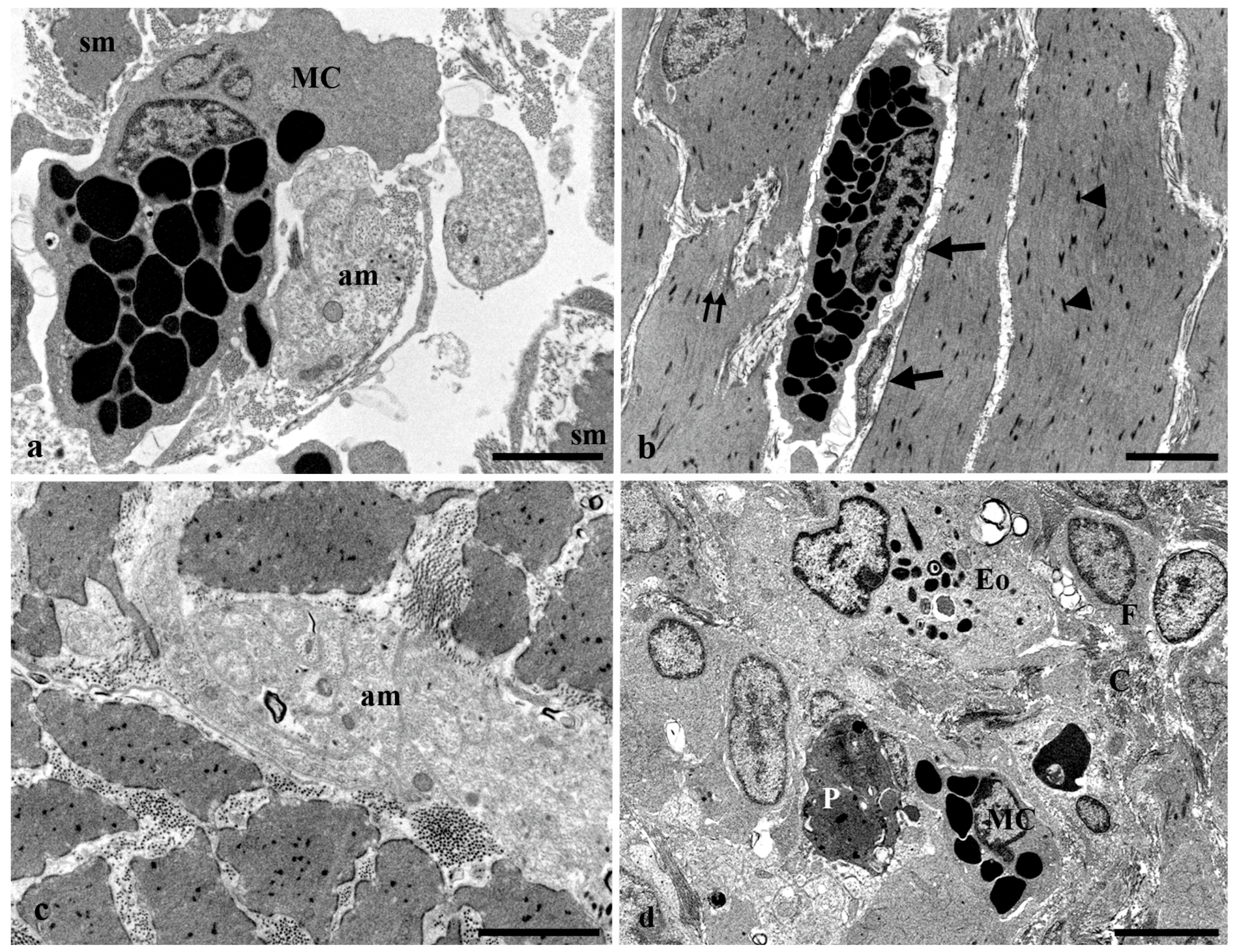 Fishes 08 00043 g009 Fishes 08 00043 g009