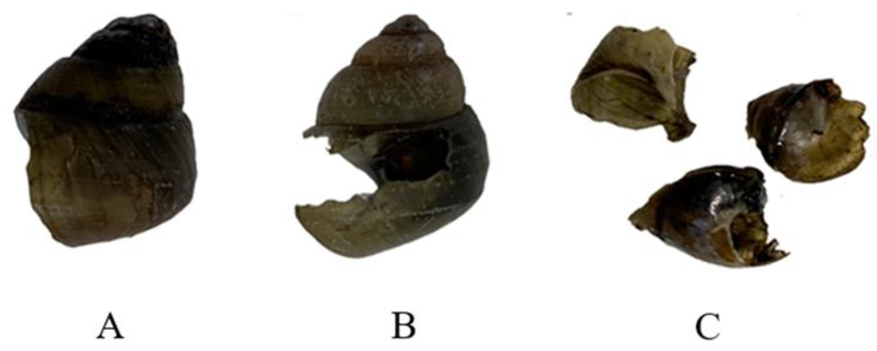 Fishes 08 00047 g006