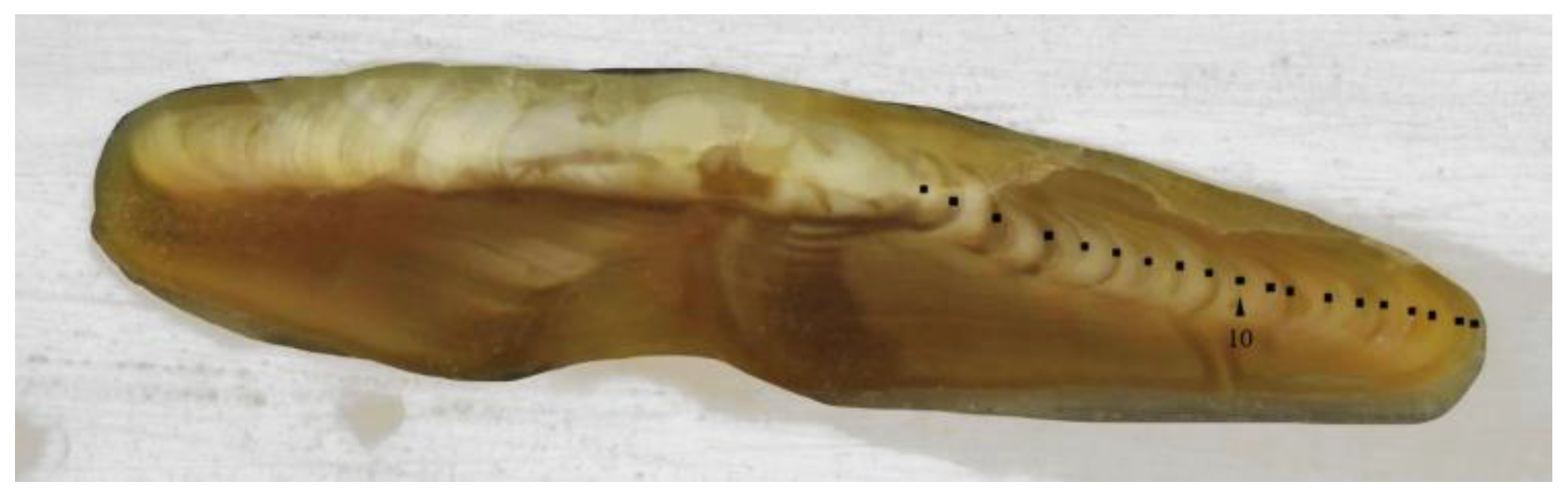 Fishes 08 00056 g001