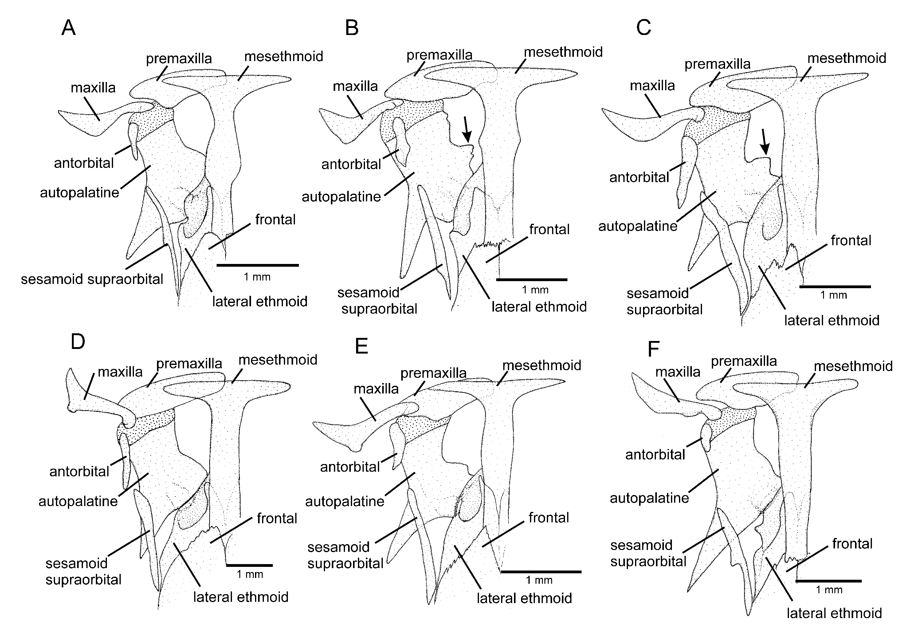 Fishes 08 00063 g007