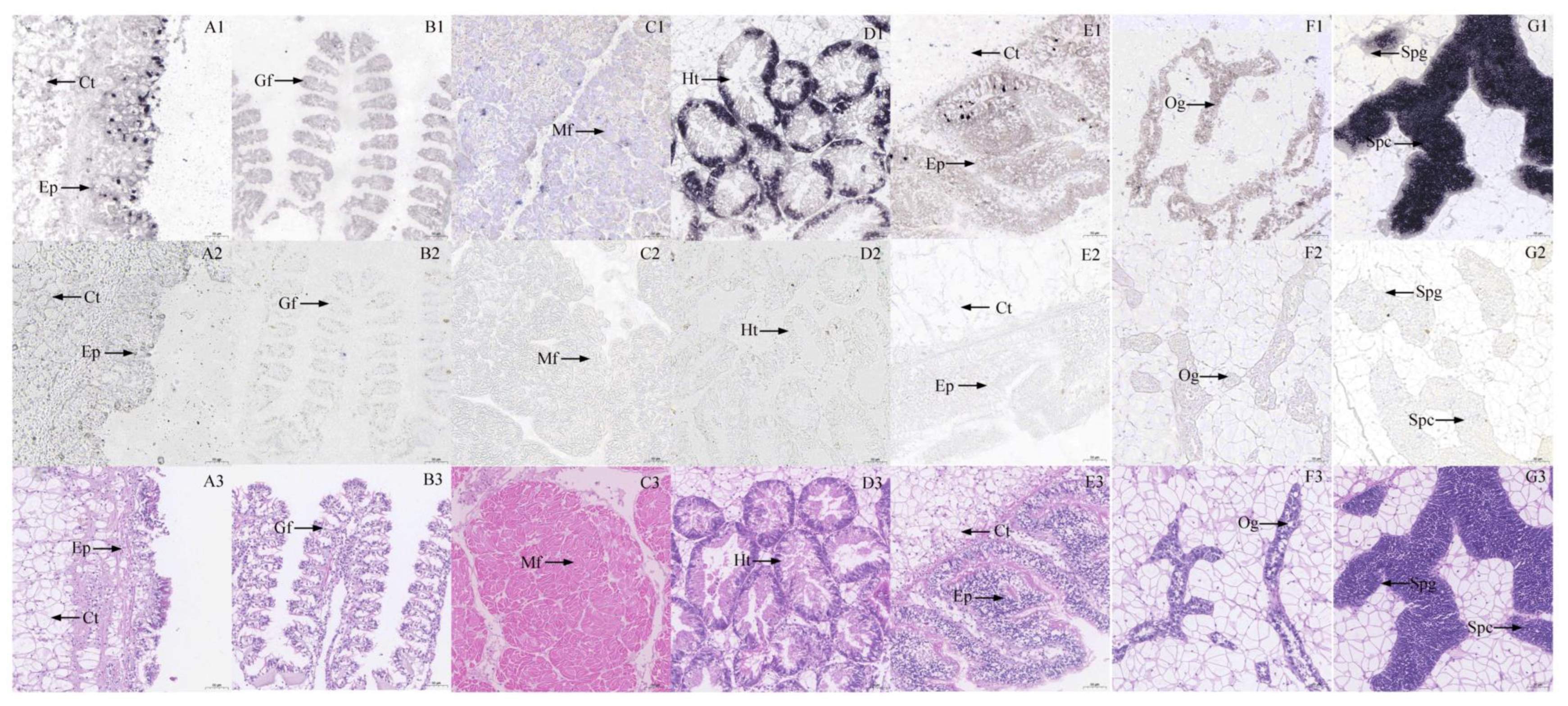 Fishes 08 00065 g002 Fishes 08 00065 g002