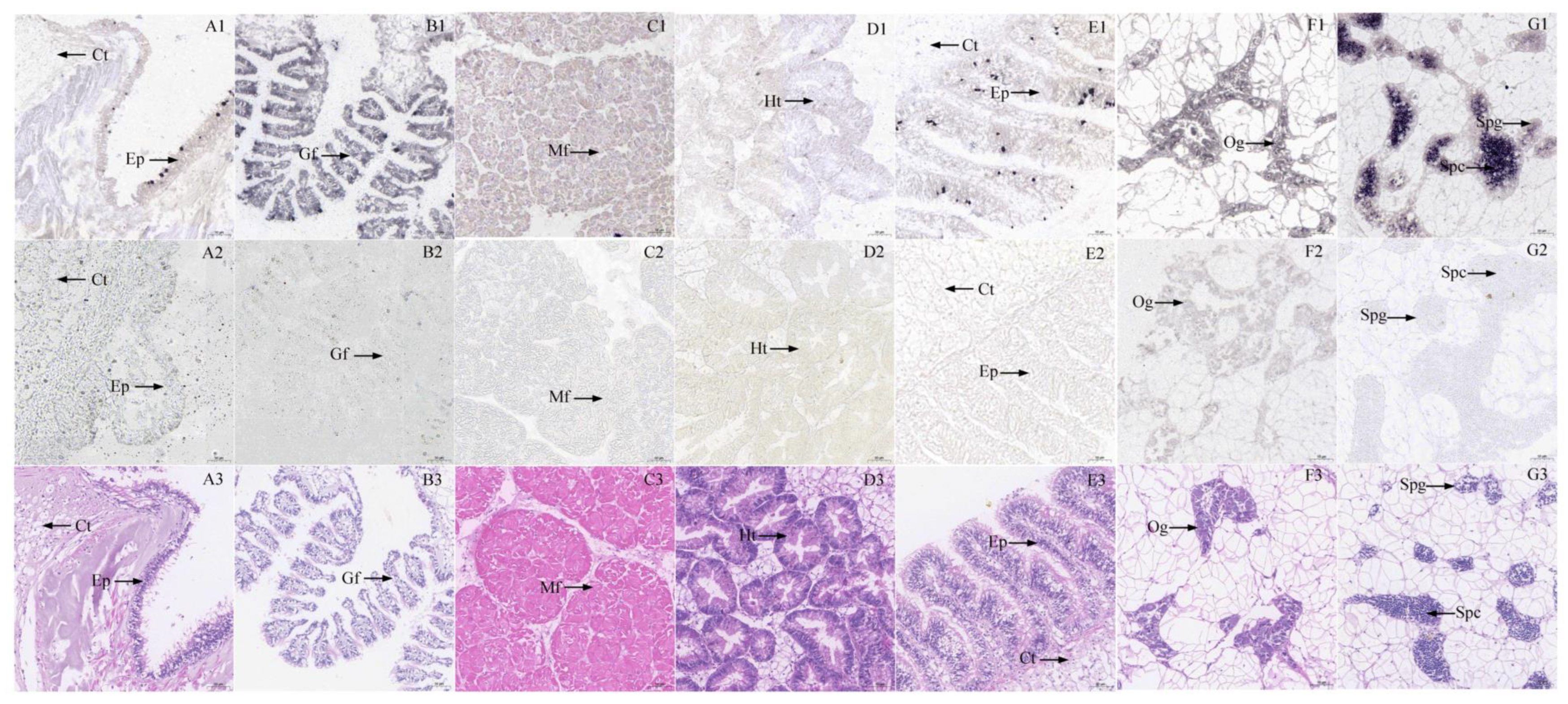 Fishes 08 00065 g003 Fishes 08 00065 g003