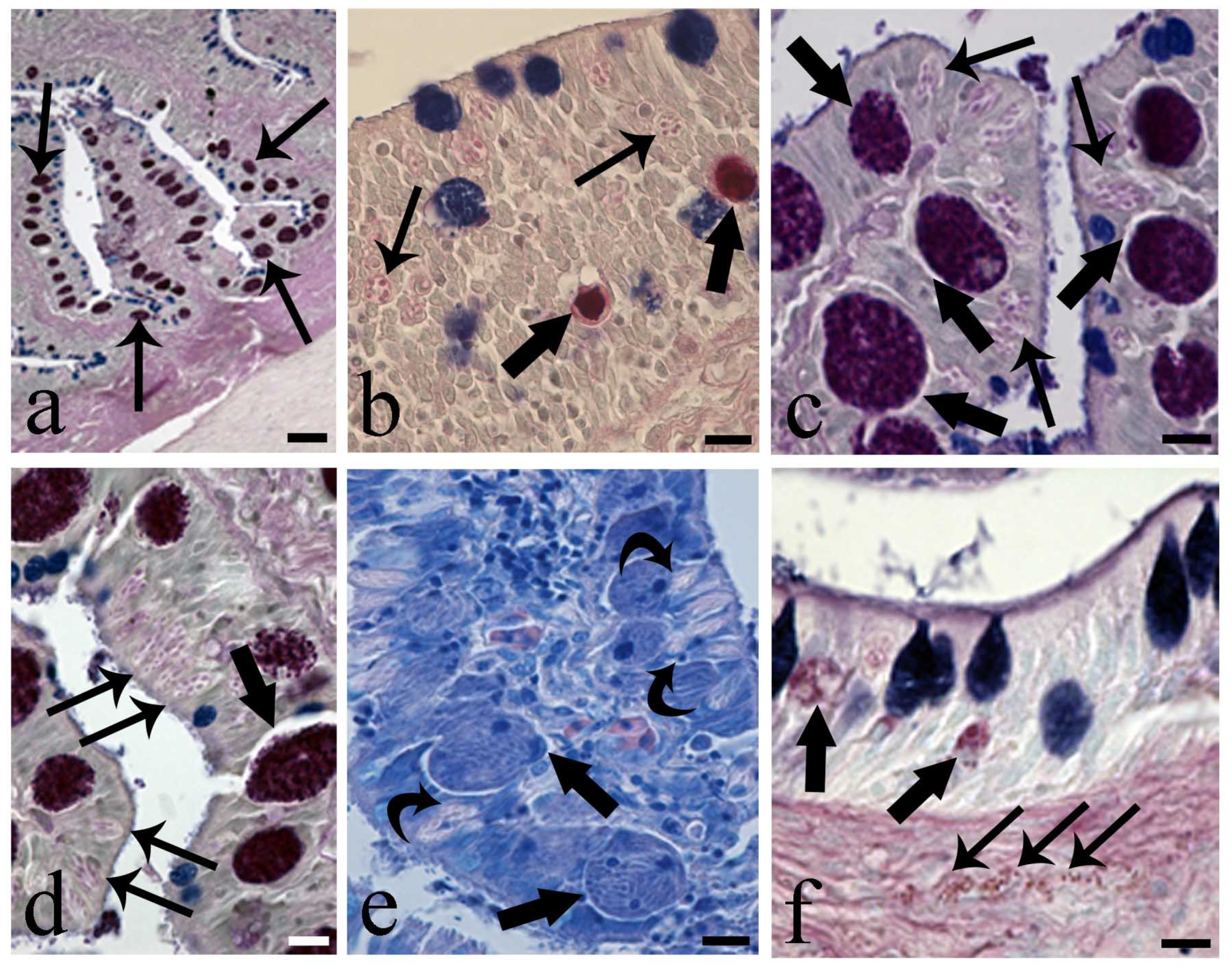 Fishes 08 00066 g005