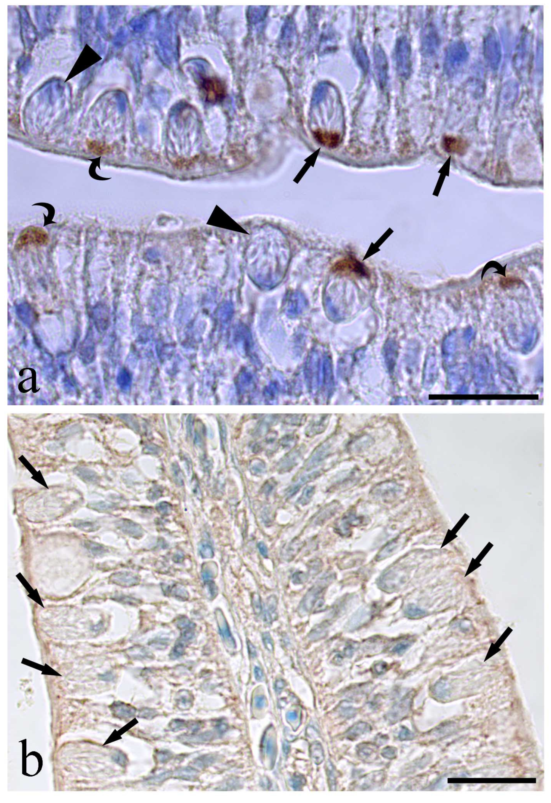 Fishes 08 00066 g006