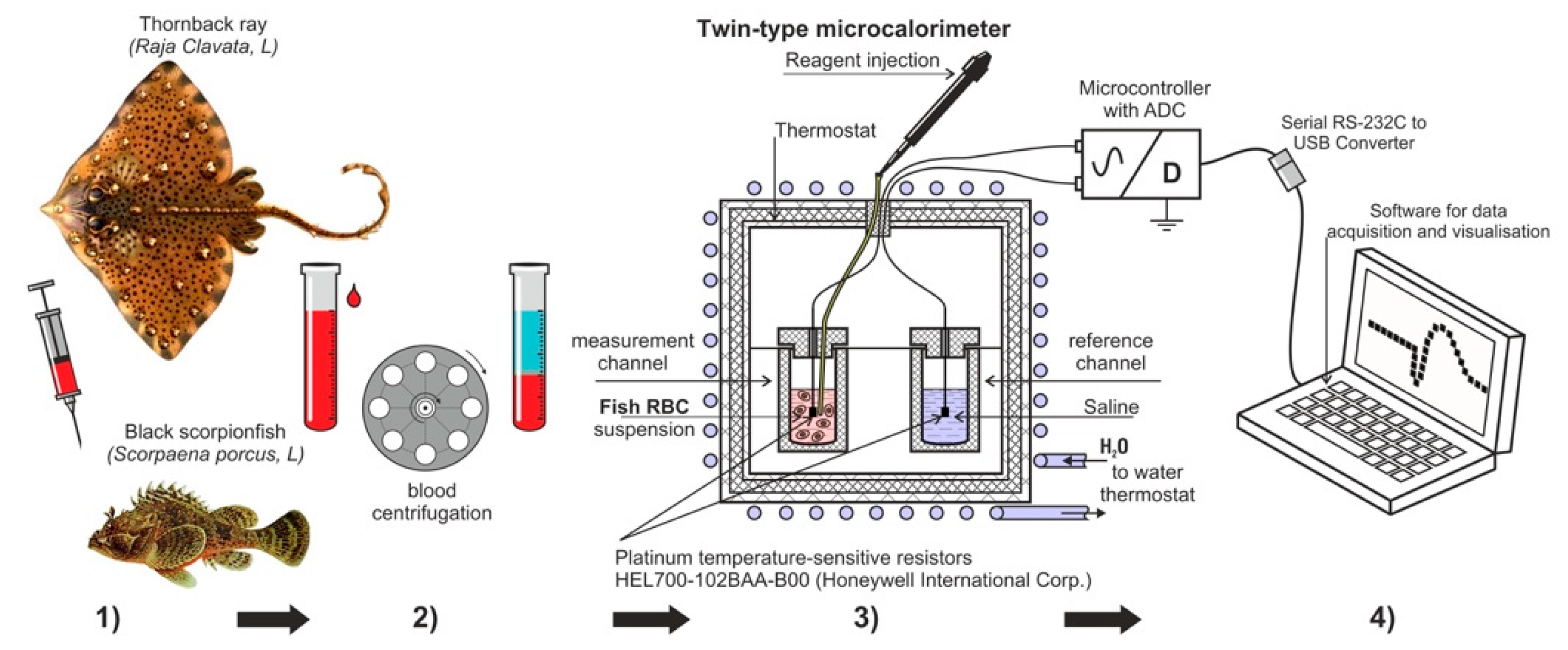 Fishes 08 00082 g001