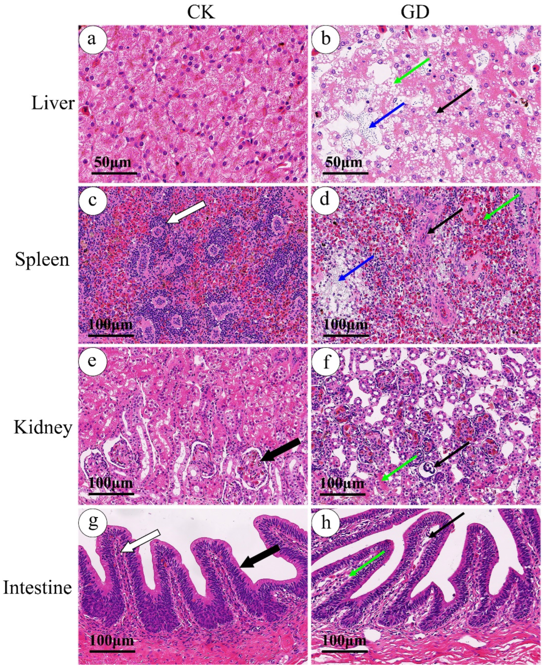 Fishes 08 00084 g001 Fishes 08 00084 g001
