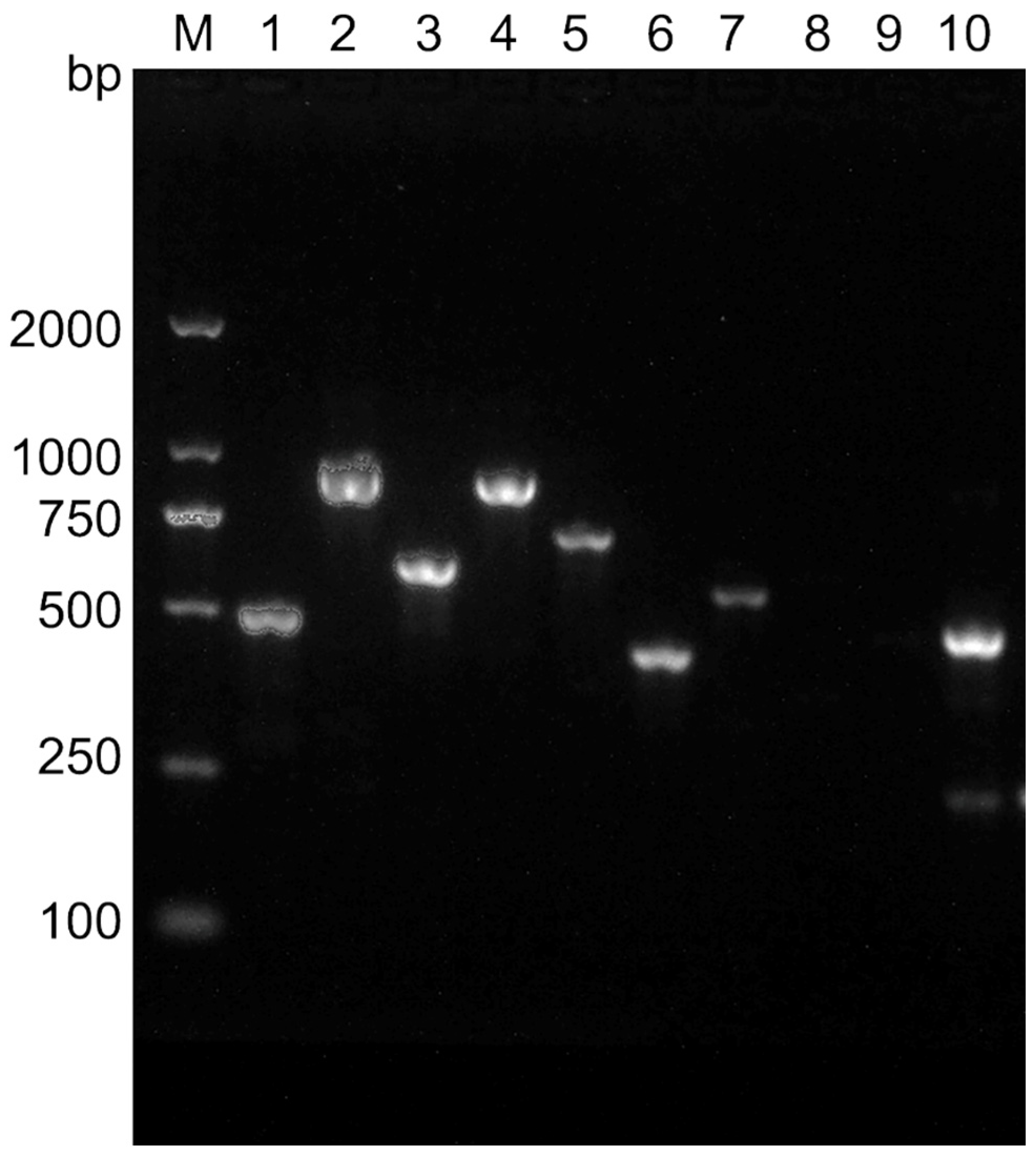 Fishes 08 00084 g002 Fishes 08 00084 g002