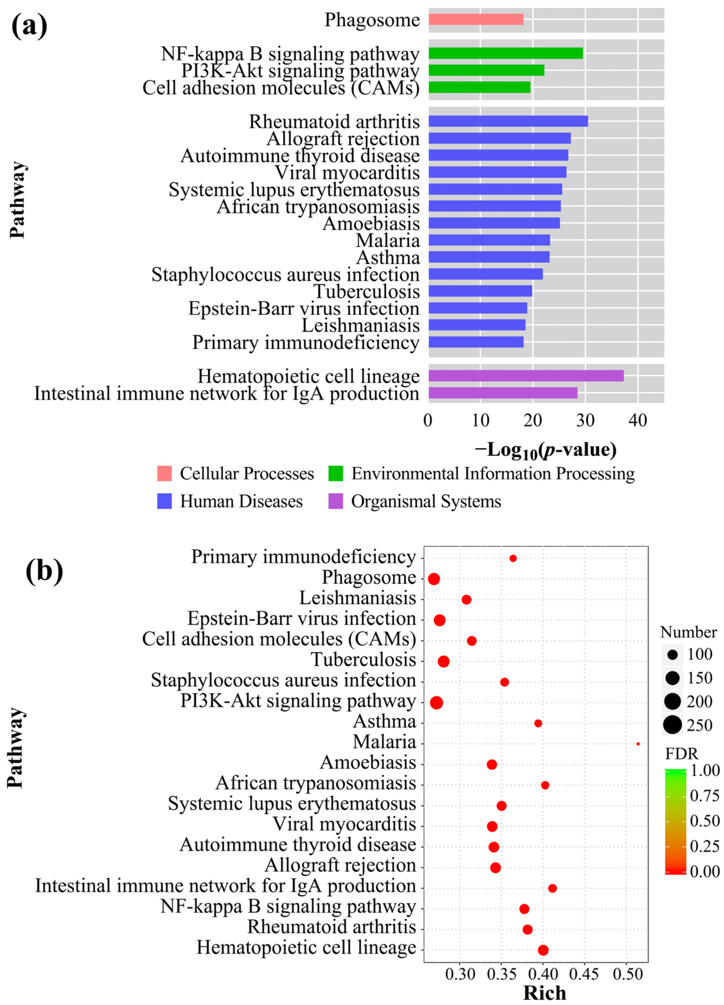 Fishes 08 00084 g007 Fishes 08 00084 g007